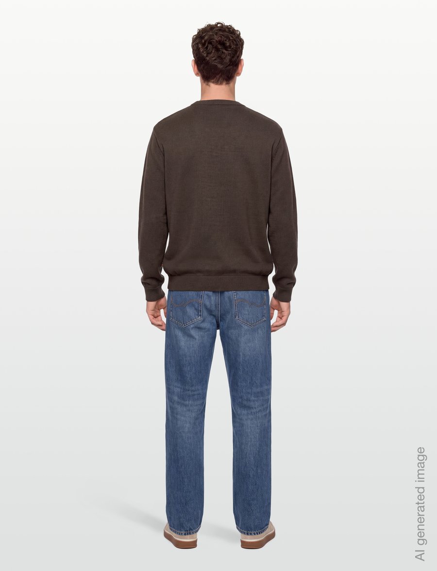 Dickies - SUMMERDALE SWEATER - sweatshirts - chocolate brown - 4