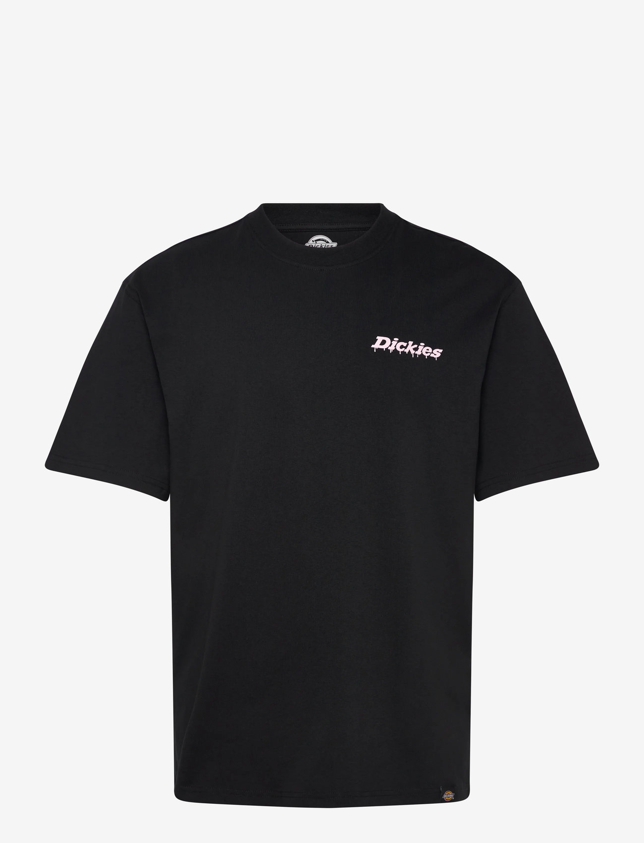Dickies - M STATESVILLE TEE SS - black - 0