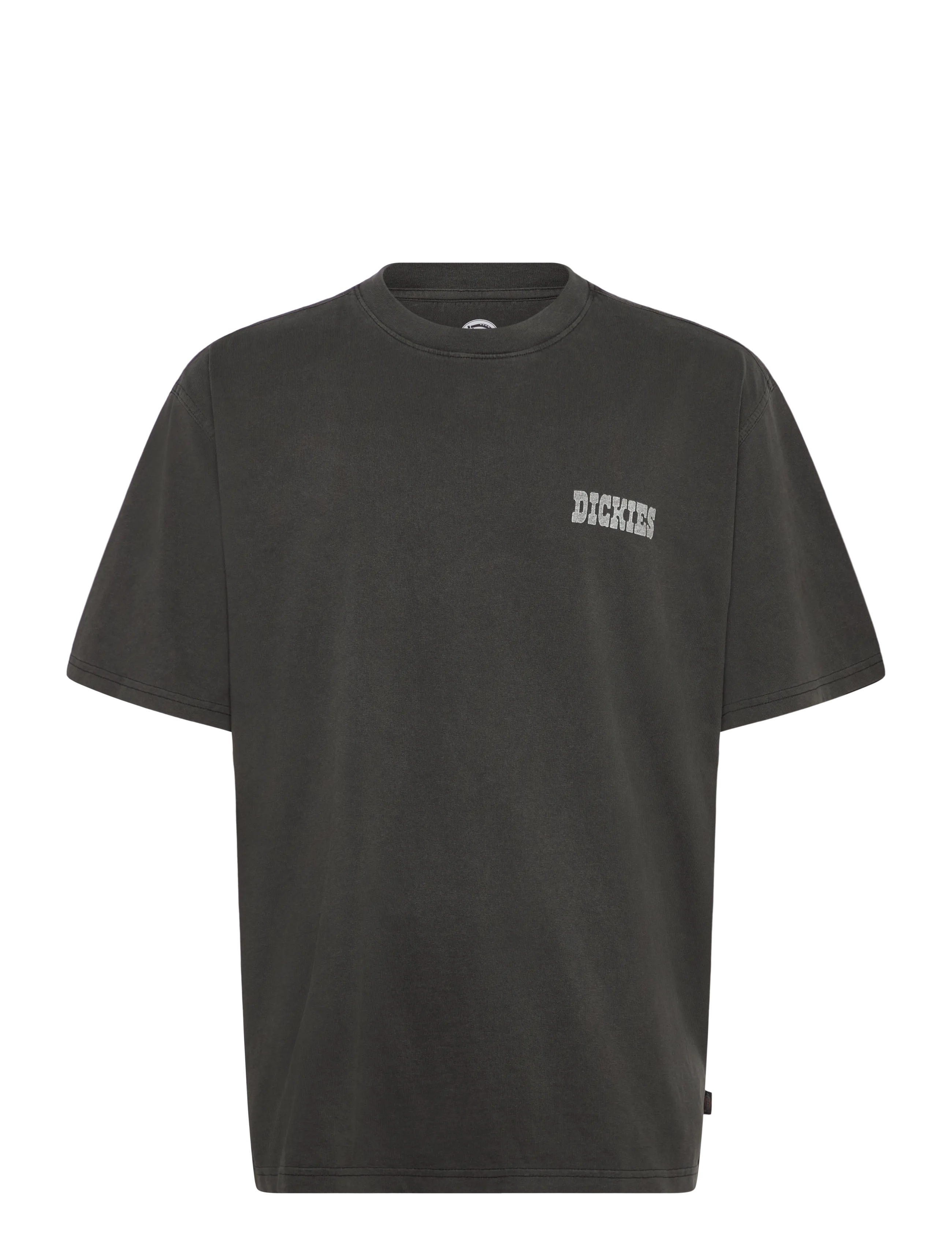 Dickies BUCHTELL SS TEE - Kleidung - BLACK / black