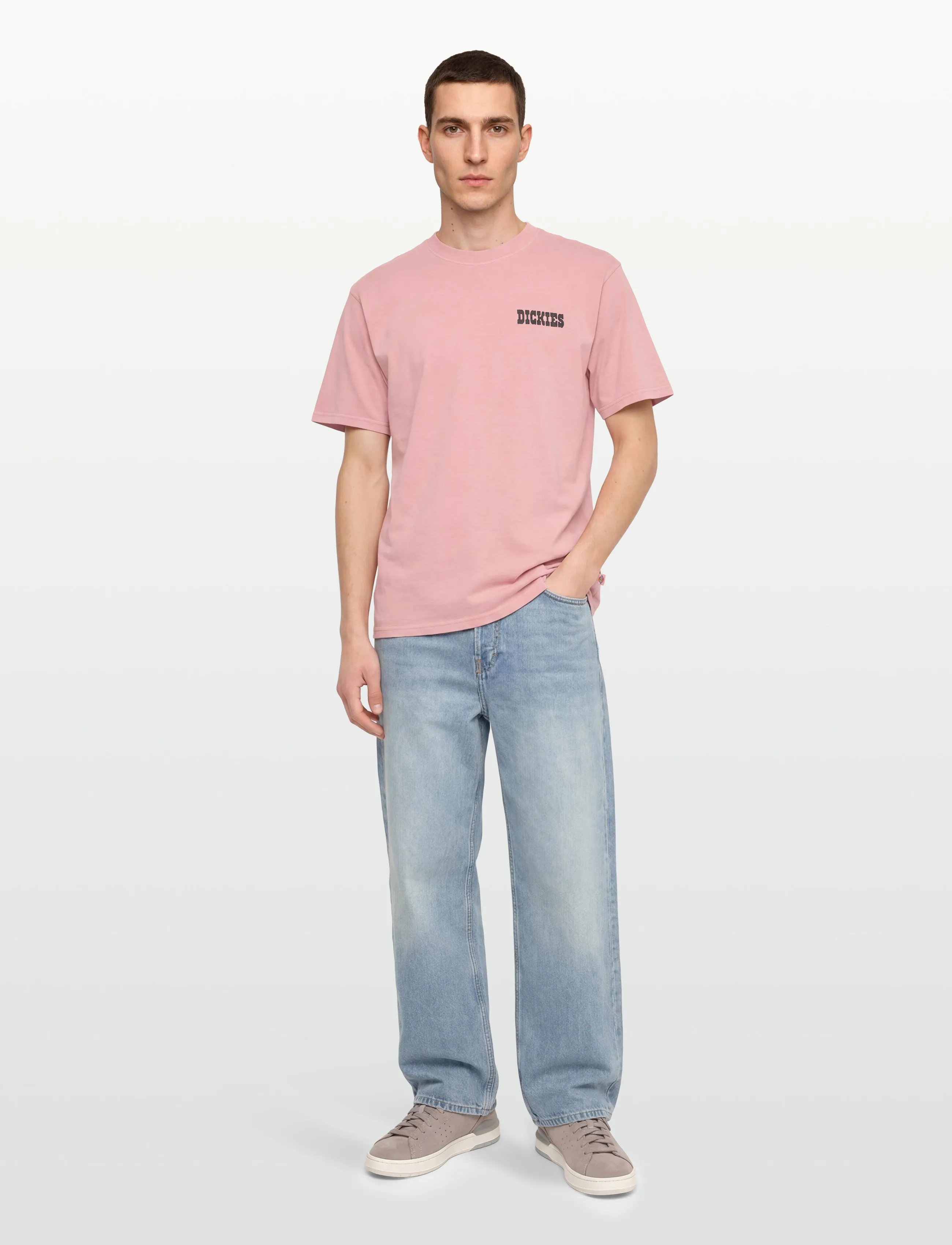 Dickies Buchtell Ss Tee, XS, Pink, T-Shirts > Kortærmede, Herre