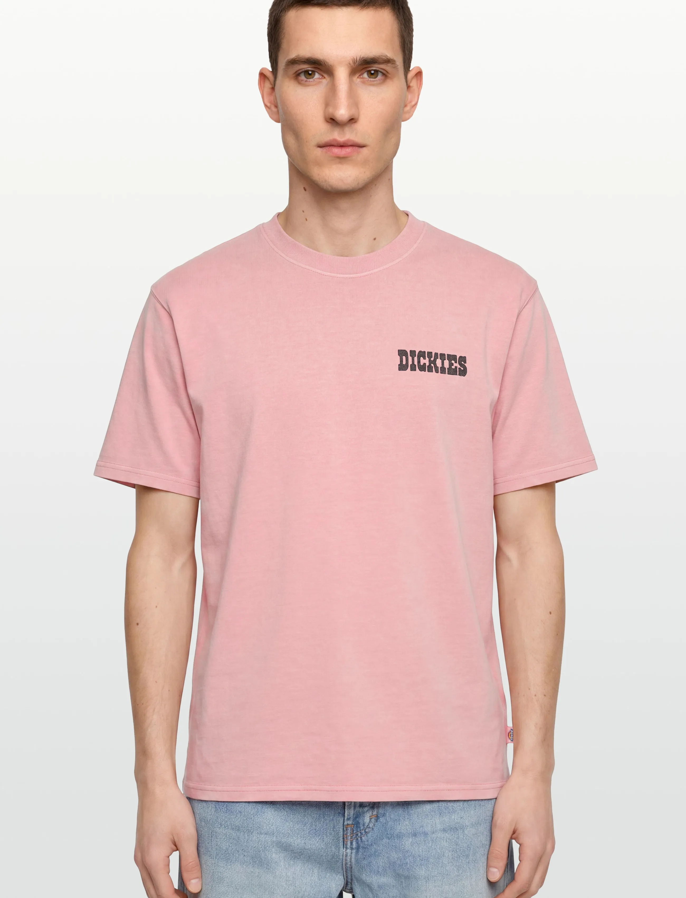 Dickies - BUCHTELL SS TEE - lühikeste varrukatega t-särgid - bridal rose - 3