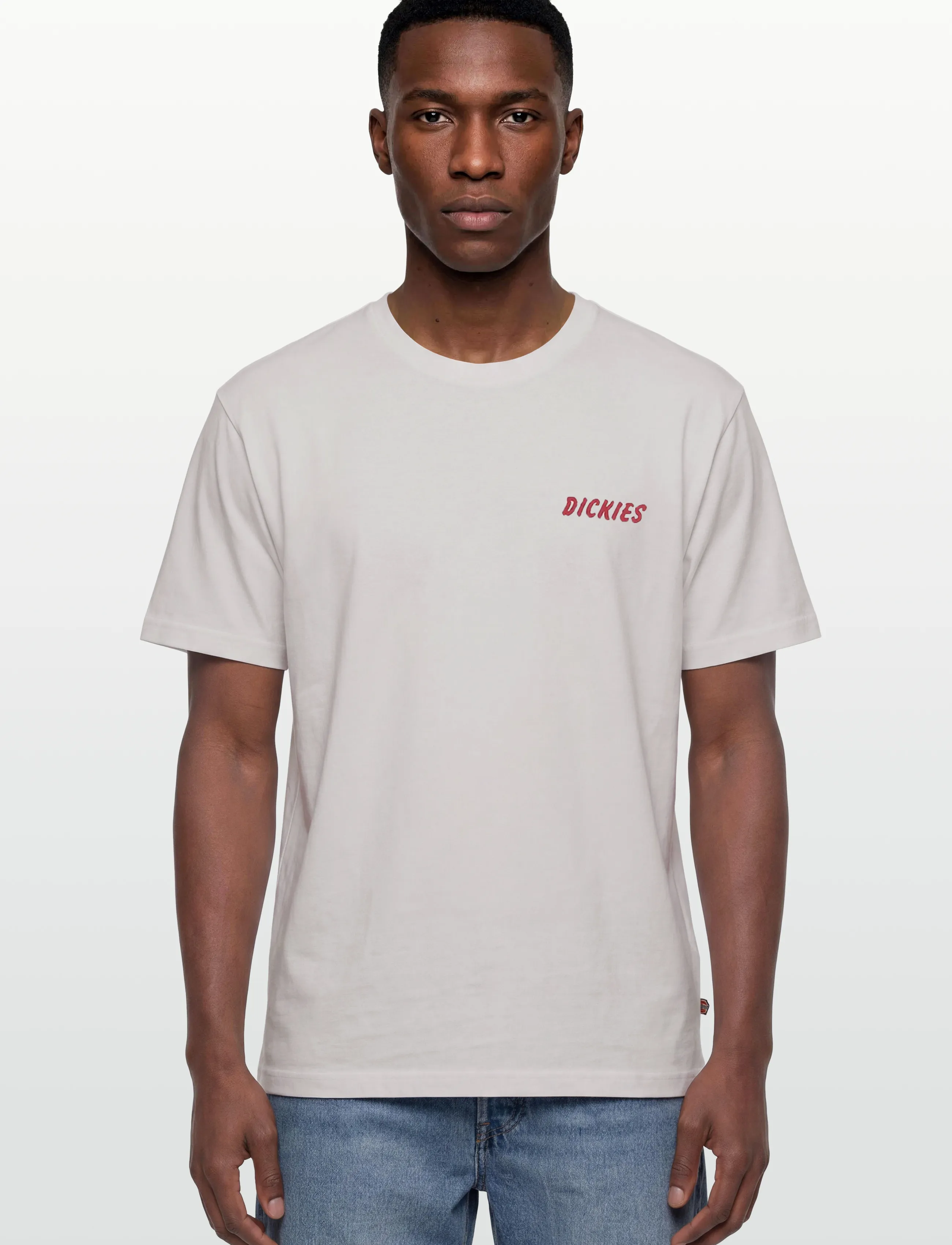 Dickies - DRY RIDGE SS TEE - kortærmede t-shirts - egret - 3