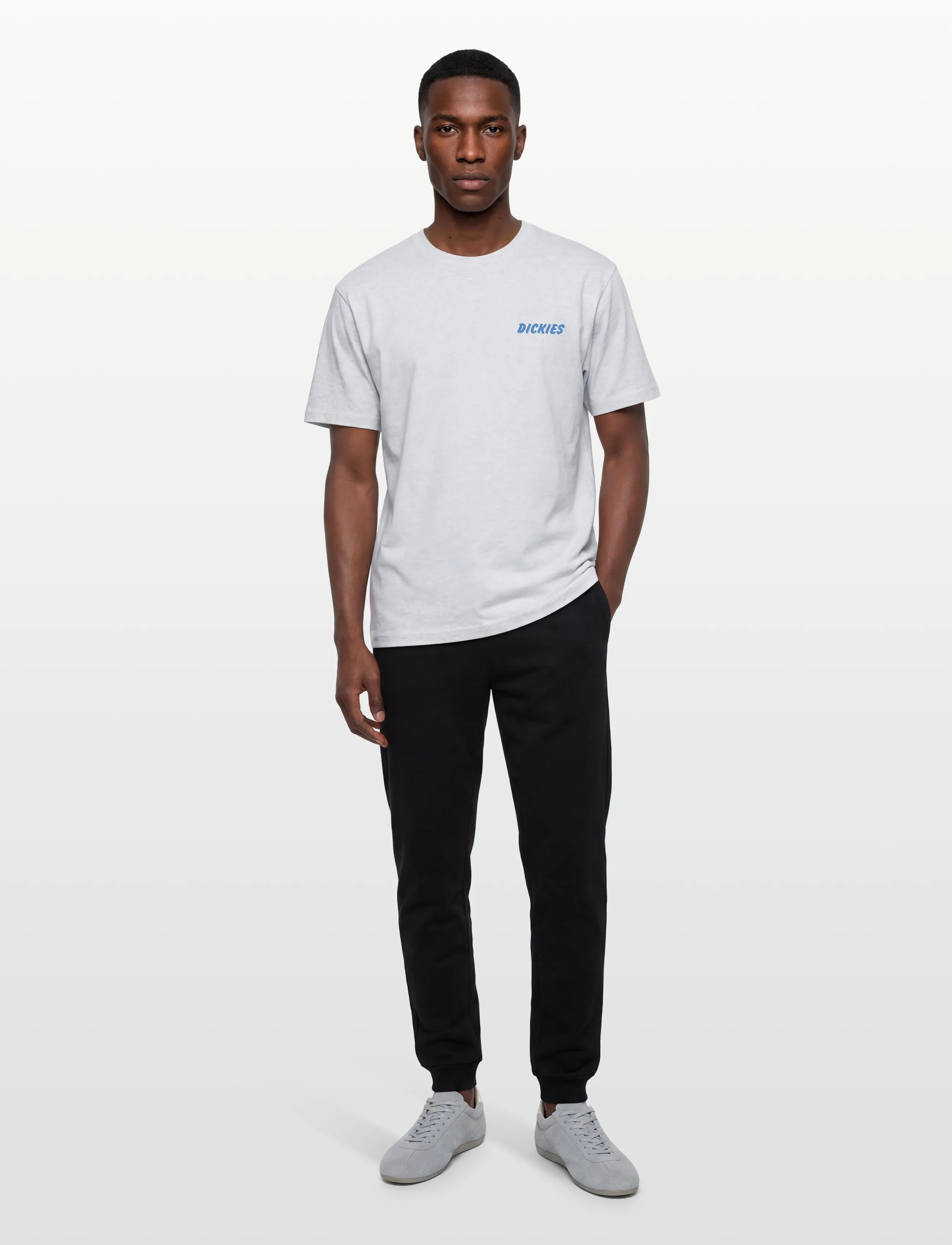Dickies DRY RIDGE SS TEE - Winter deals - LIGHT GRAY / grey