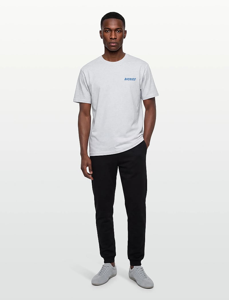 Dickies - DRY RIDGE SS TEE - kurzärmelig - light gray - 0