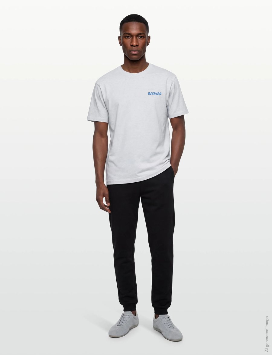 Dickies - DRY RIDGE SS TEE - kurzärmelig - light gray - 0
