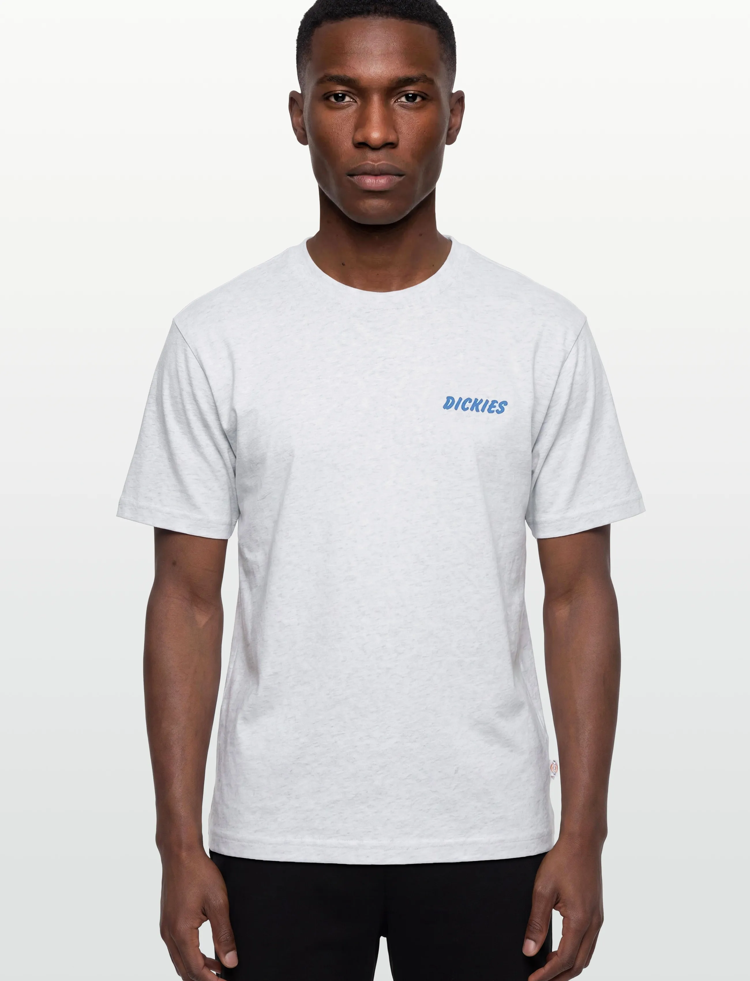 Dickies - DRY RIDGE SS TEE - kurzärmelig - light gray - 3