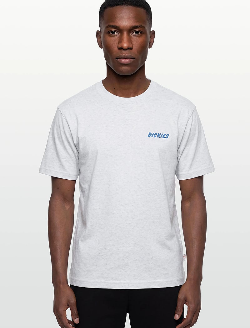 Dickies - DRY RIDGE SS TEE - kurzärmelig - light gray - 3