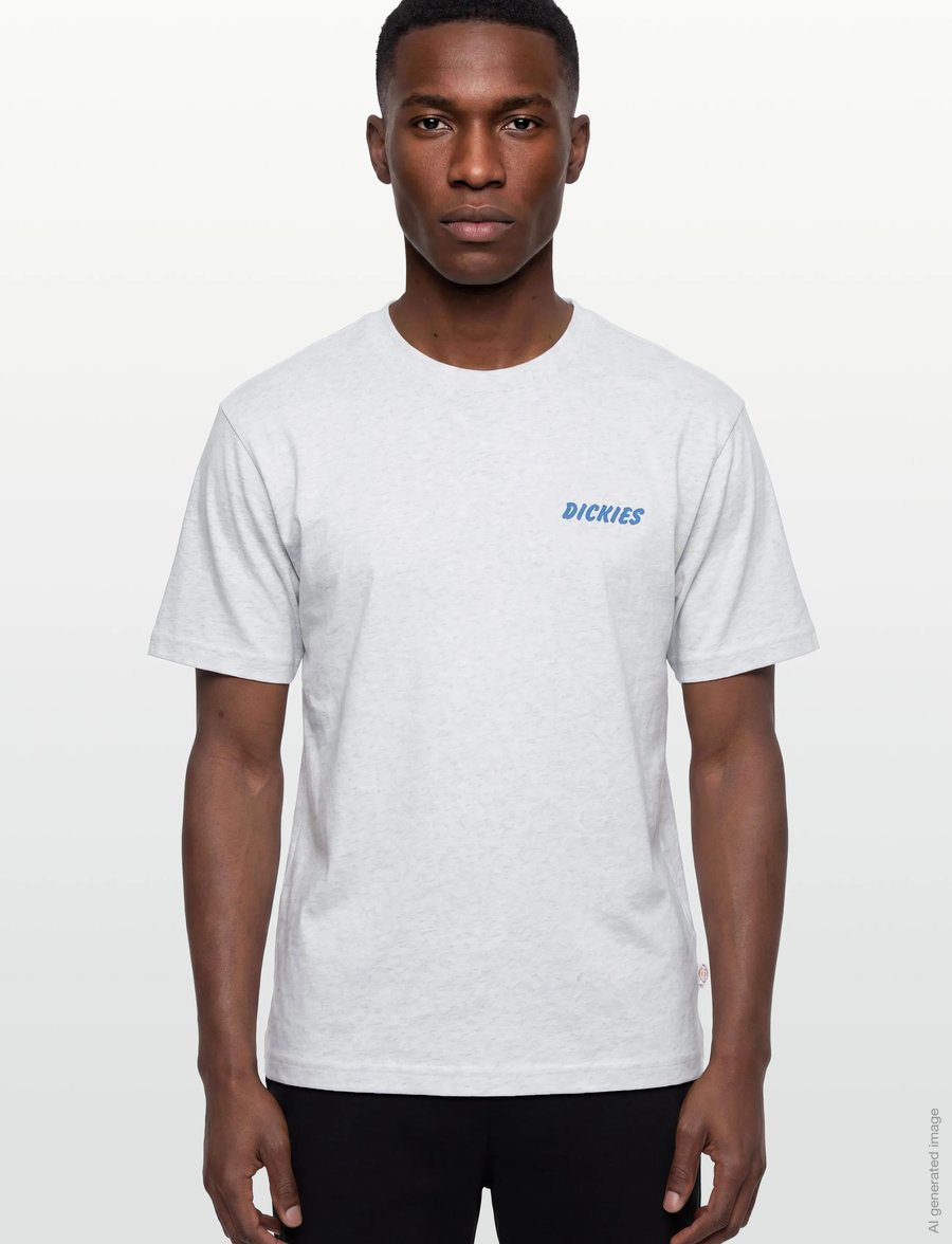 Dickies - DRY RIDGE SS TEE - kurzärmelig - light gray - 3