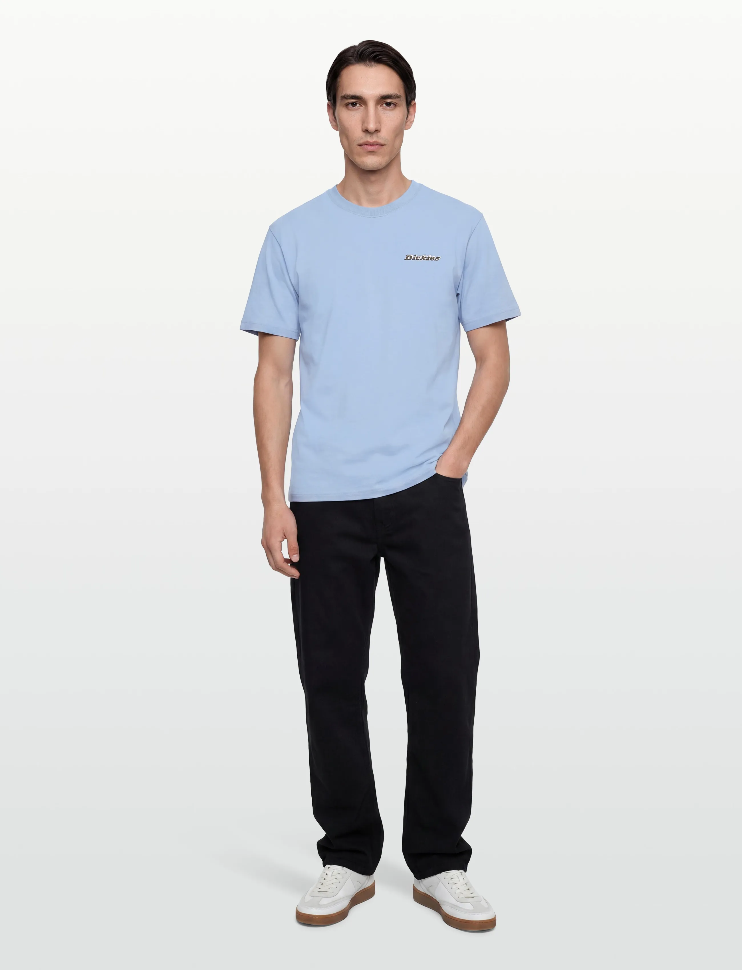 Dickies THORNVILLE SS TEE - T-särgid - ENDLESS SKY / blue