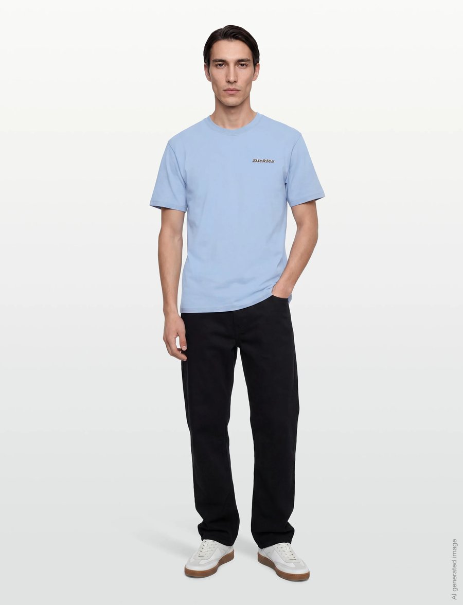 Dickies - THORNVILLE SS TEE - kortærmede t-shirts - endless sky - 0