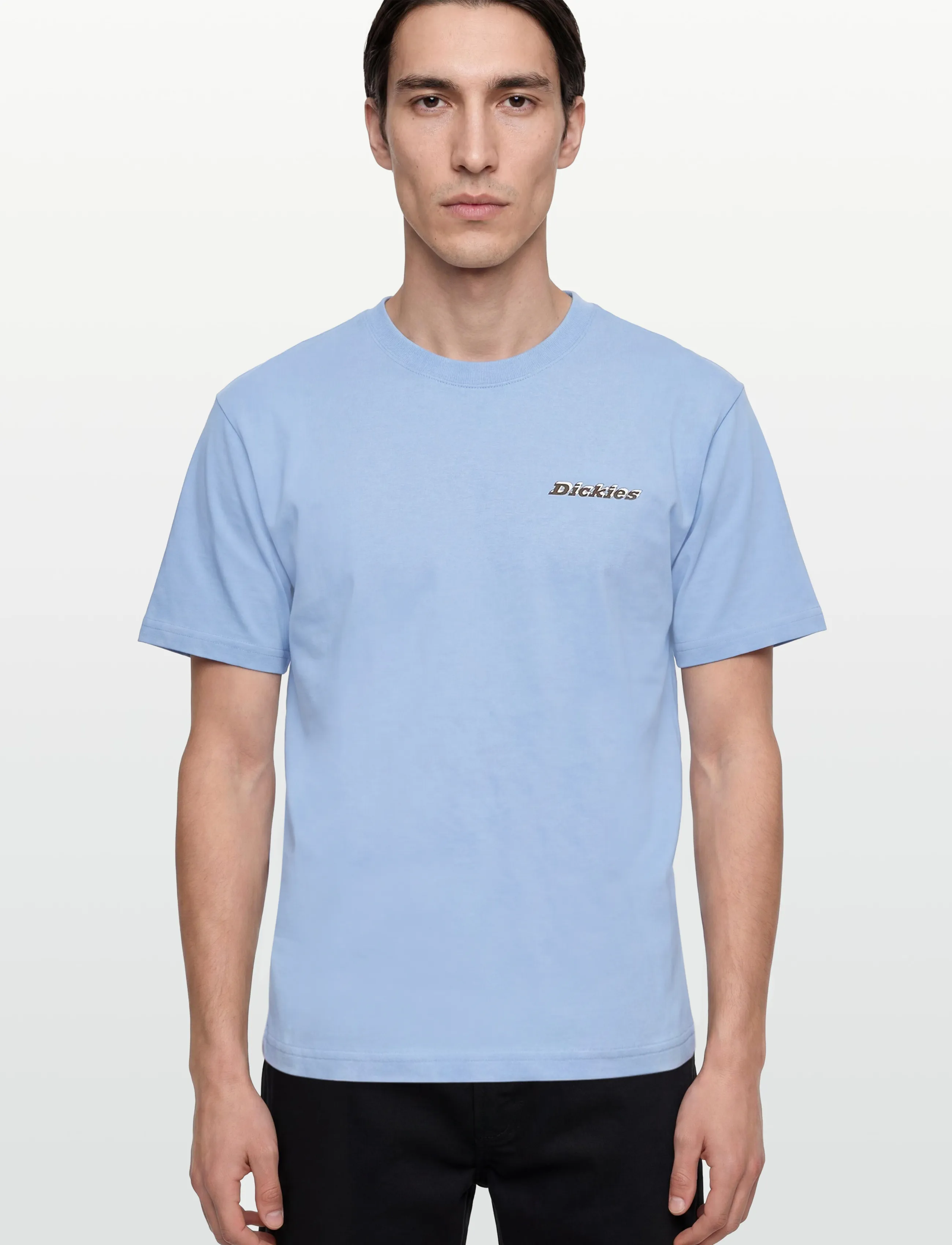 Dickies - THORNVILLE SS TEE - kortærmede t-shirts - endless sky - 3