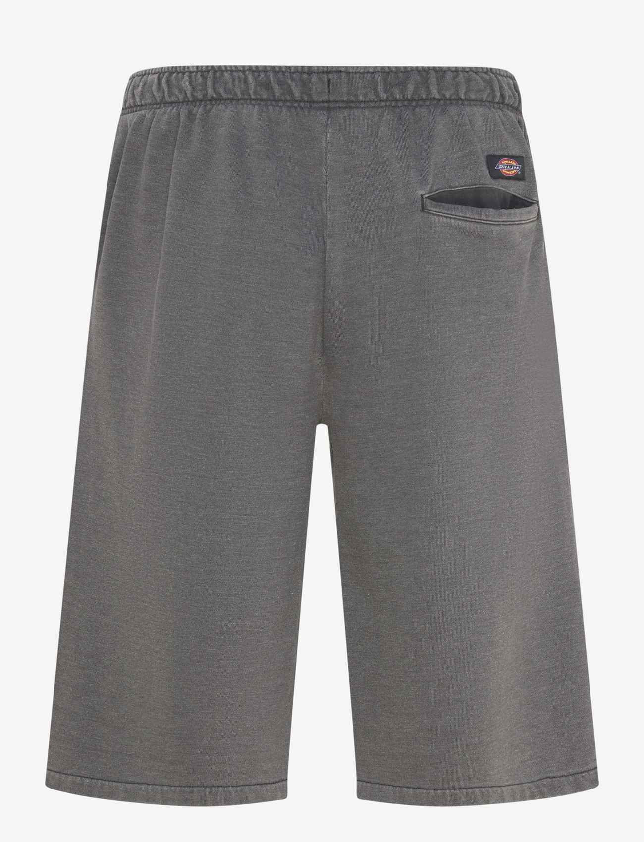 Dickies - STREETSBORO 13 INCH SWEAT SHORT - püksid - black - 1