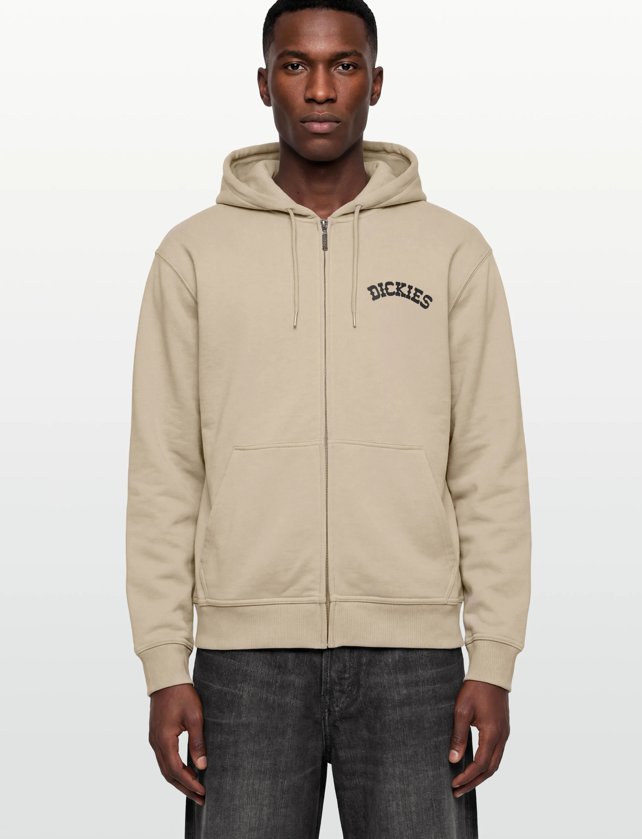 Dickies - BETTSVILLE FZ HOODIE - sweats à capuche - eucalyptus - 3