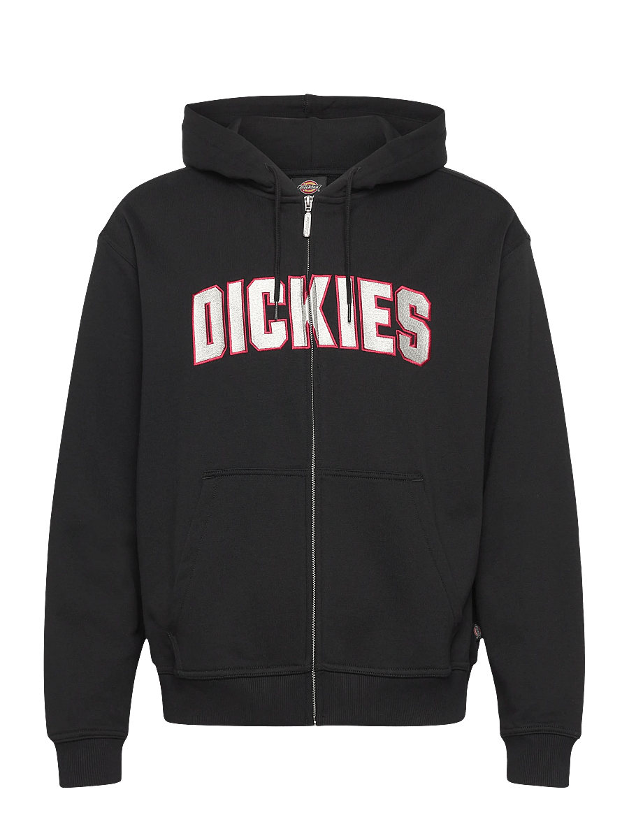 Dickies - AITKIN ZT HOODIE - sweats à capuche - black - 1