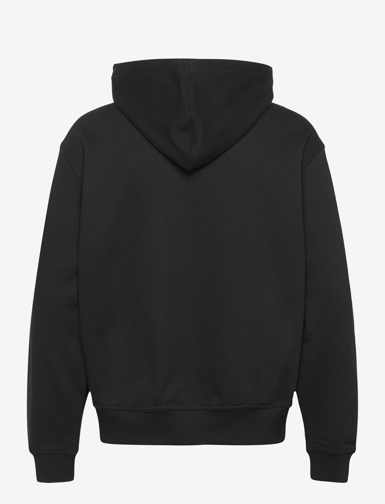 Dickies - AITKIN ZT HOODIE - kapuutsiga dressipluusid - black - 2