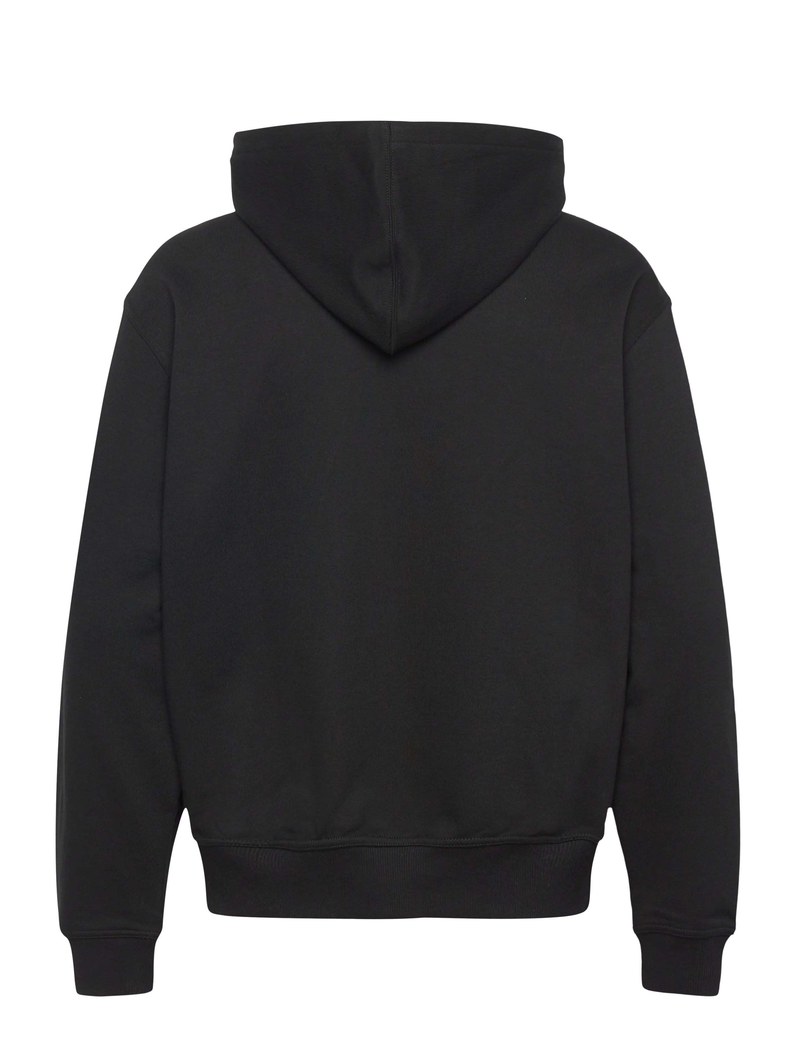 Dickies - AITKIN ZT HOODIE - sweats à capuche - black - 2