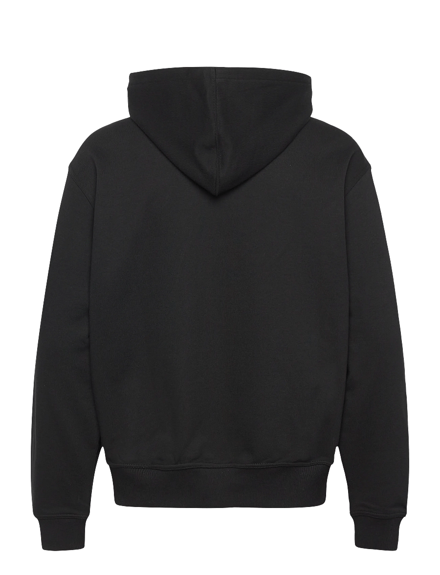 Dickies - AITKIN ZT HOODIE - sweats à capuche - black - 2