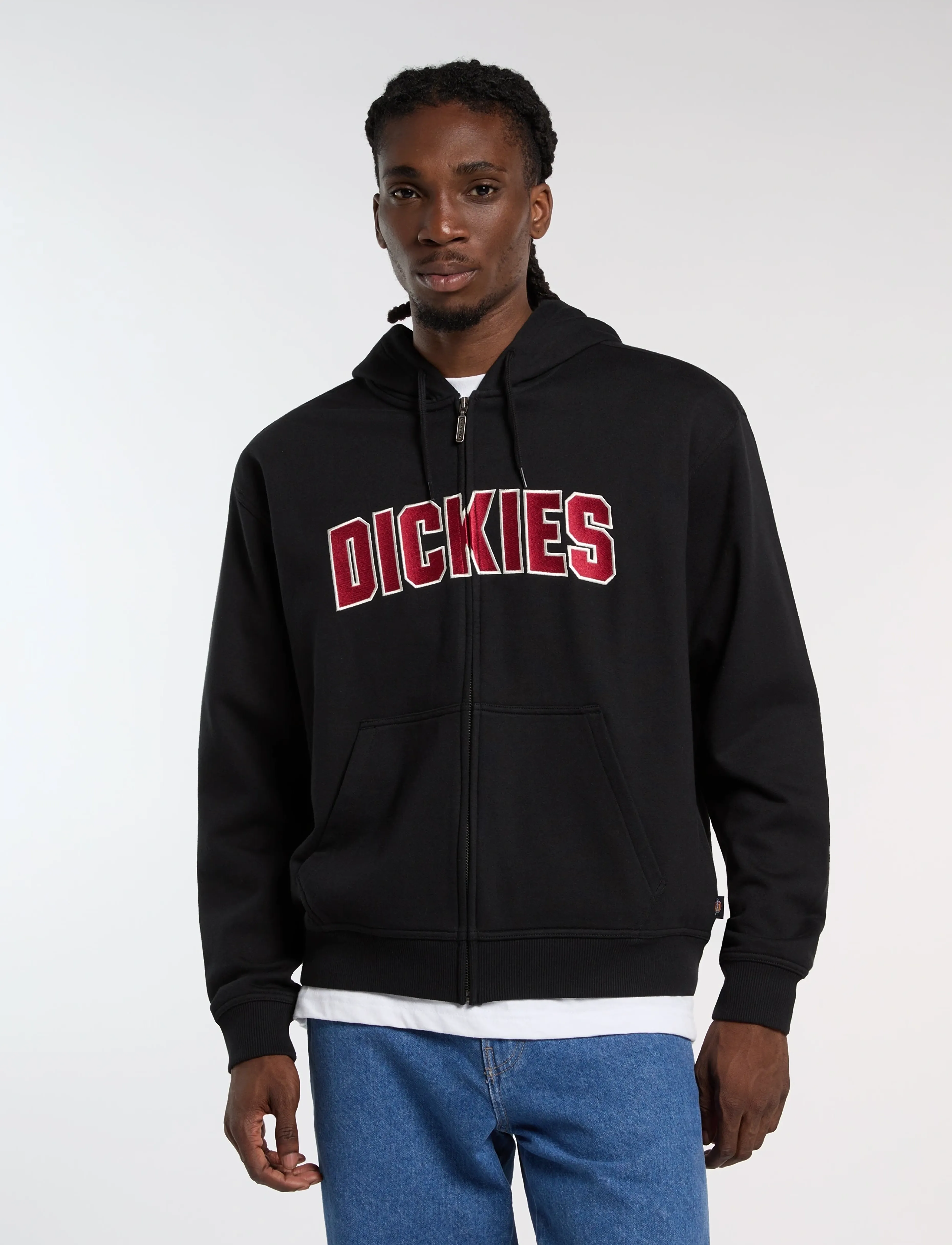 Dickies - AITKIN ZT HOODIE - sweats à capuche - black - 4