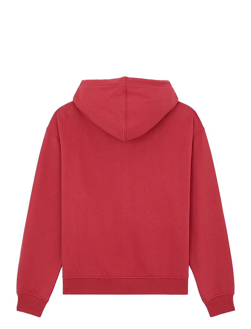 Dickies - AITKIN ZT HOODIE - džemperiai su gobtuvu - garnet - 1
