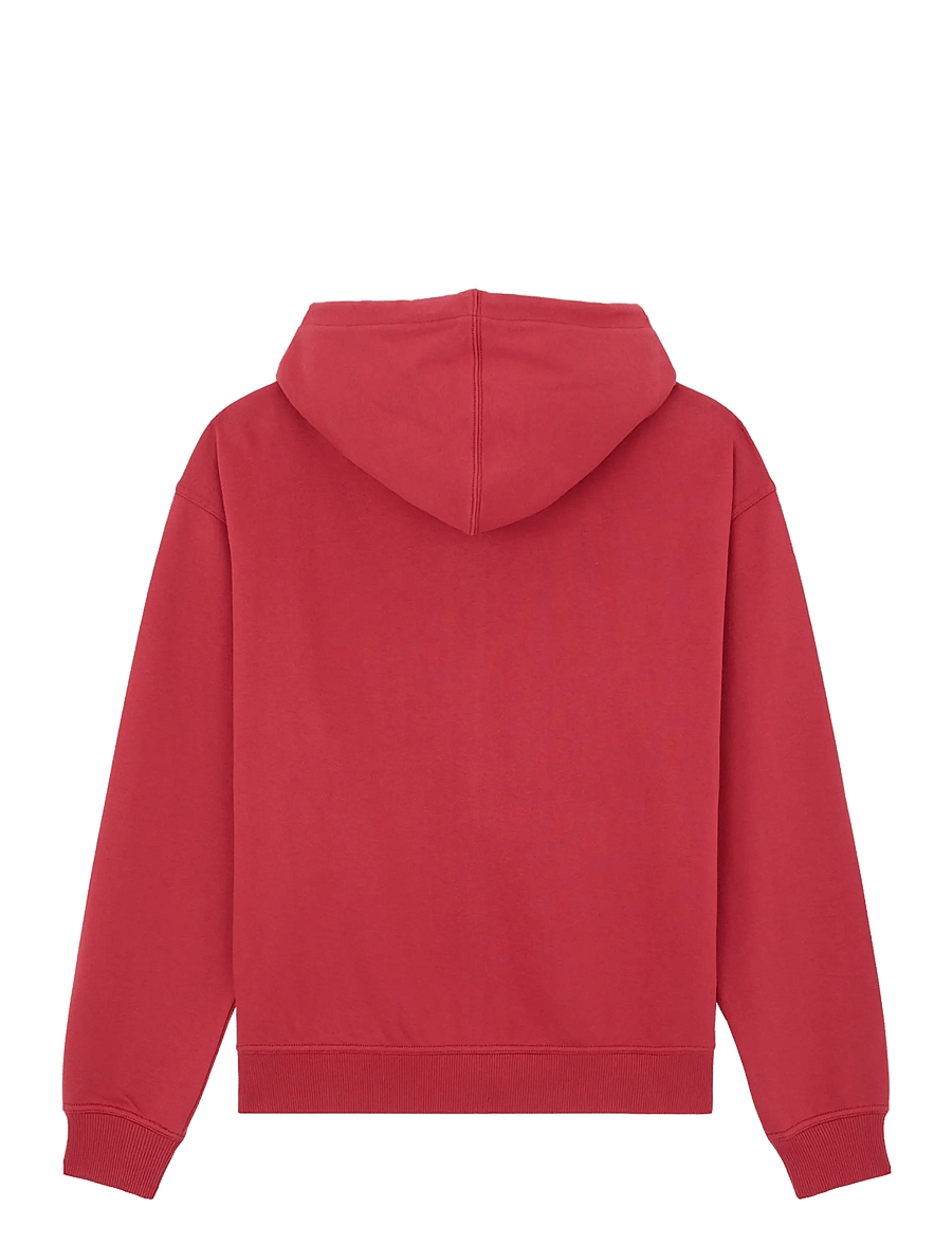 Dickies - AITKIN ZT HOODIE - kapuzenpullover - garnet - 2