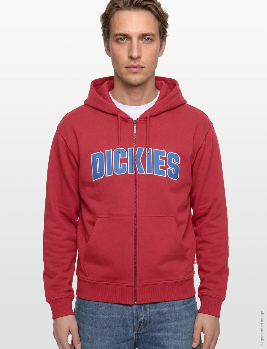 Dickies - AITKIN ZT HOODIE - kapuzenpullover - garnet - 3