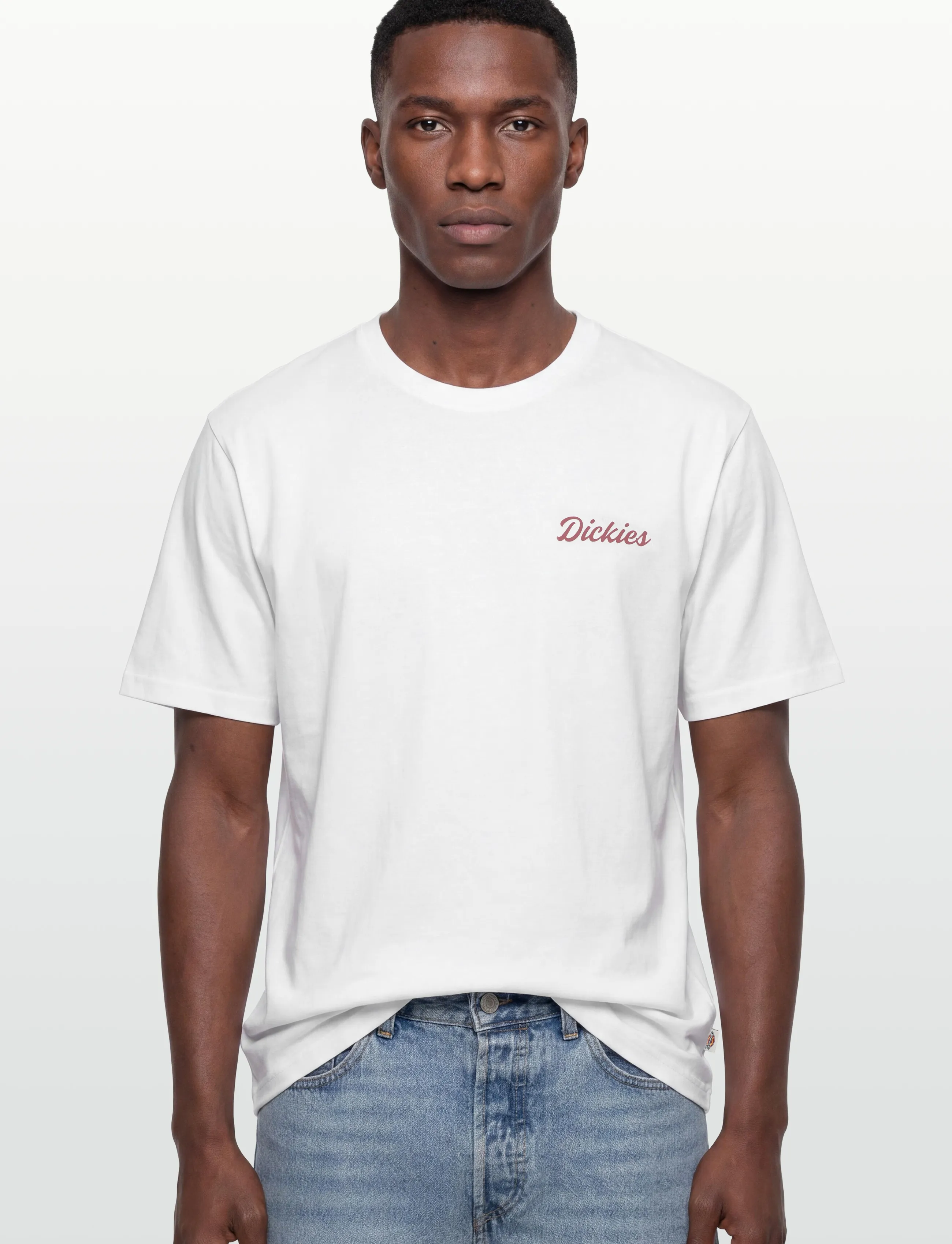 Dickies - WELLSVILLE SS TEE - kortermede t-skjorter - white - 3