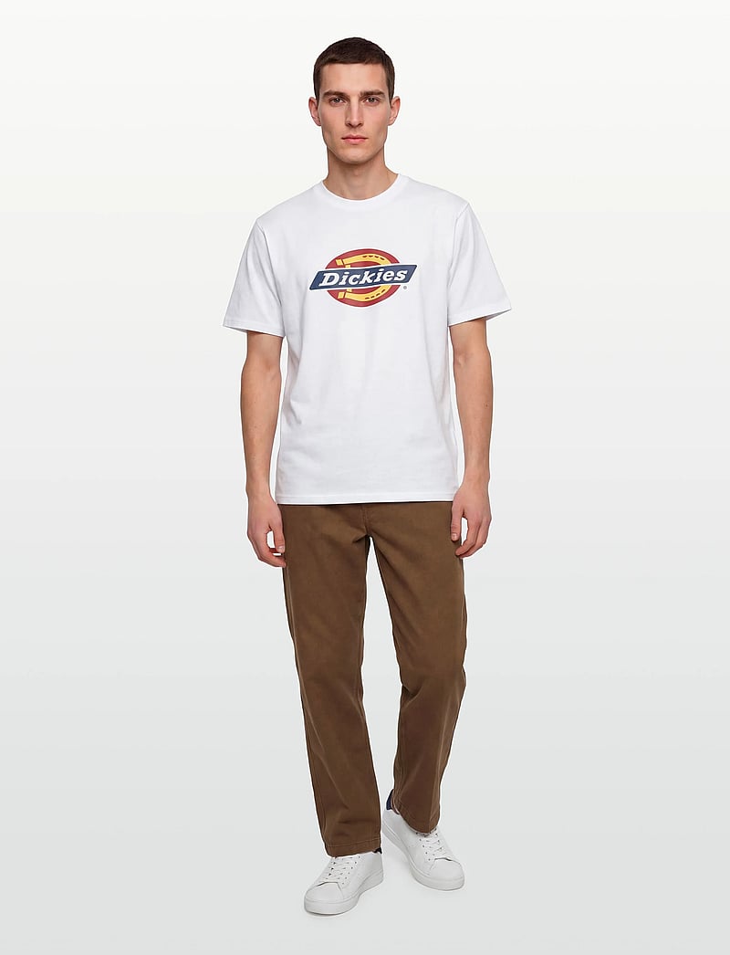 Dickies - 247 GD LOOSE WORK PANT - chinos - timber brown - 0