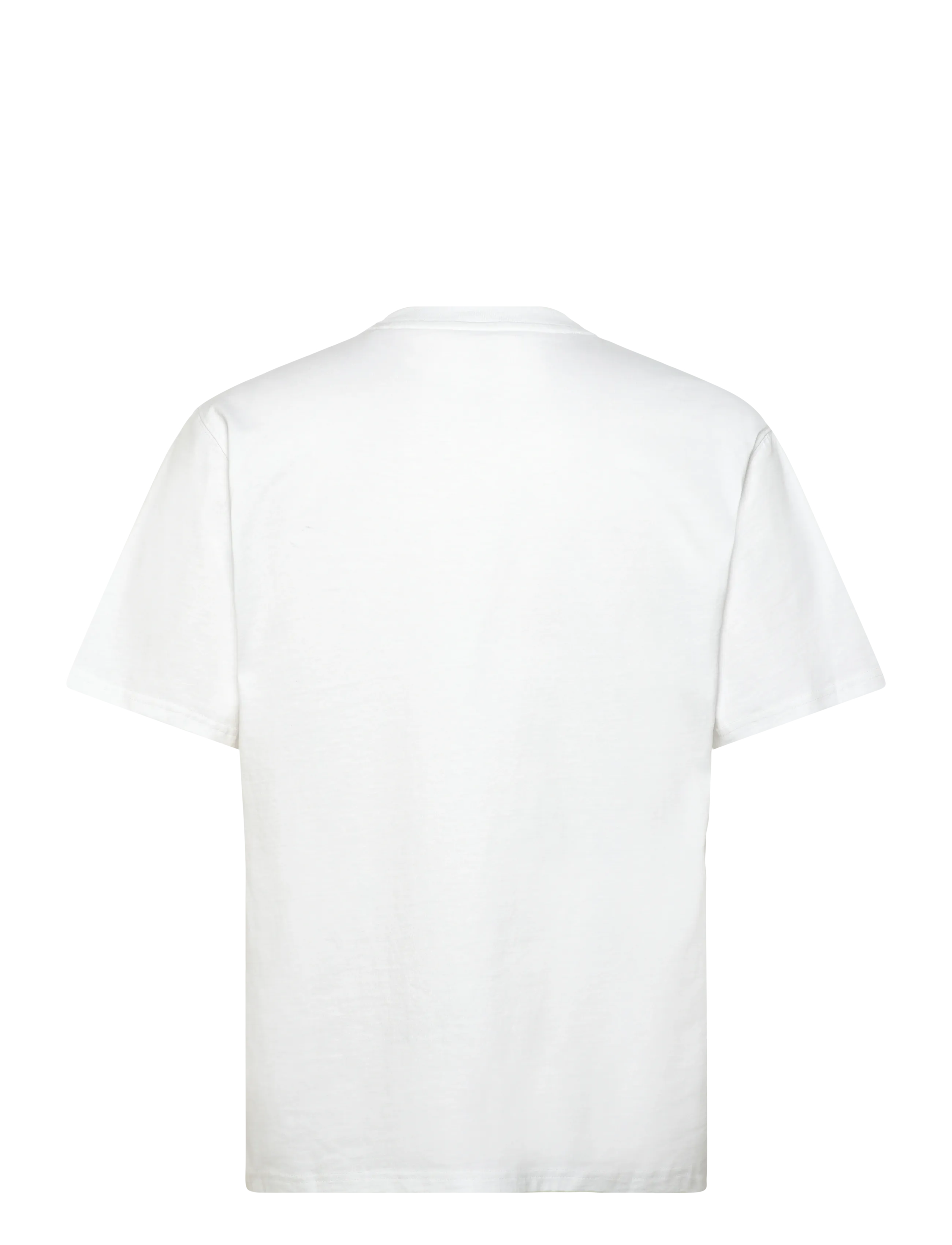 Dickies - DICKIES ICON SS TEE - lühikeste varrukatega t-särgid - white - 1