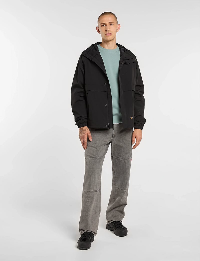 Dickies - BALTIMORE NYLON JACKET - friluftsjakker - black - 4