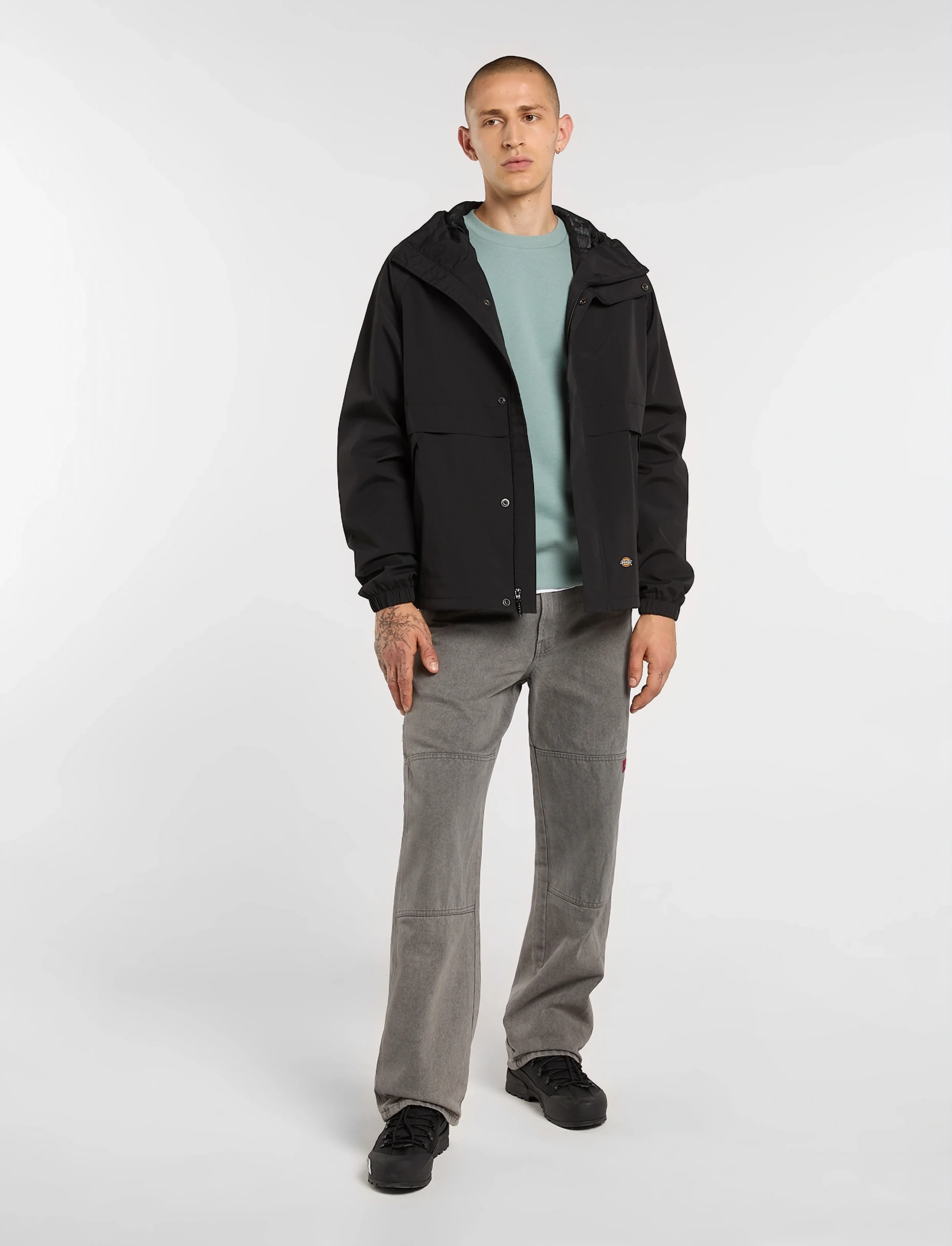 Dickies - BALTIMORE NYLON JACKET - friluftsjackor - black - 4
