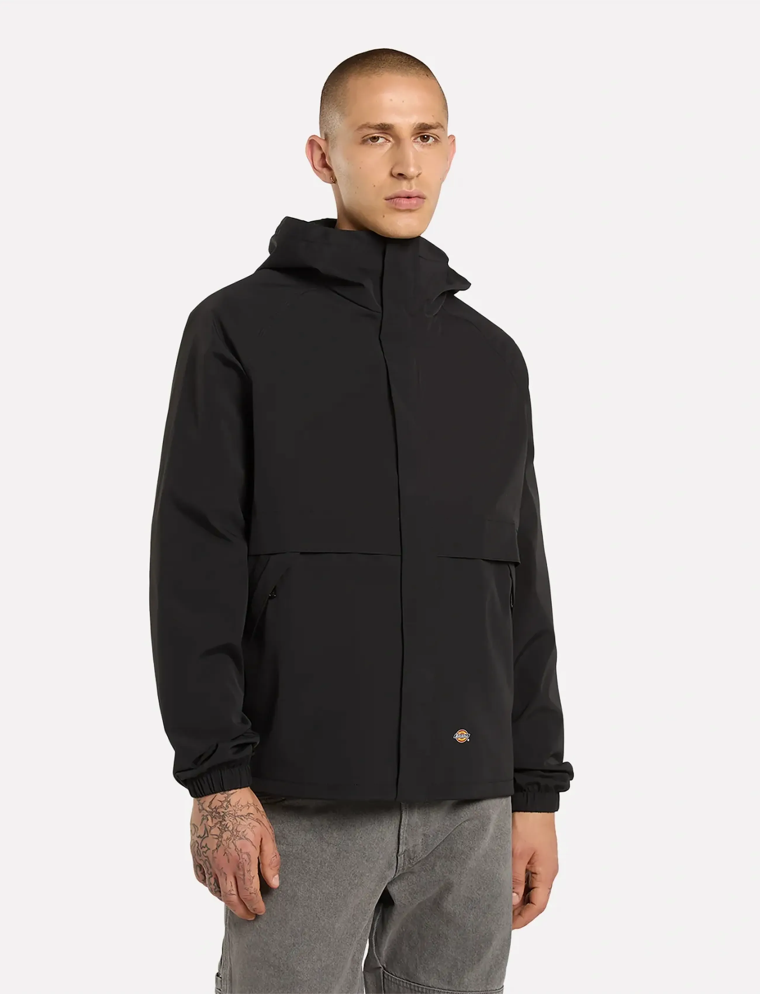 Dickies - BALTIMORE NYLON JACKET - friluftsjackor - black - 5