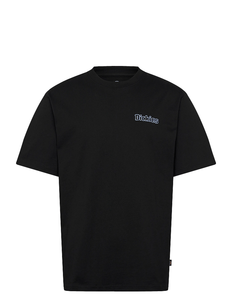Dickies - FAIRLAWN SS TEE - kortærmede t-shirts - black - 1