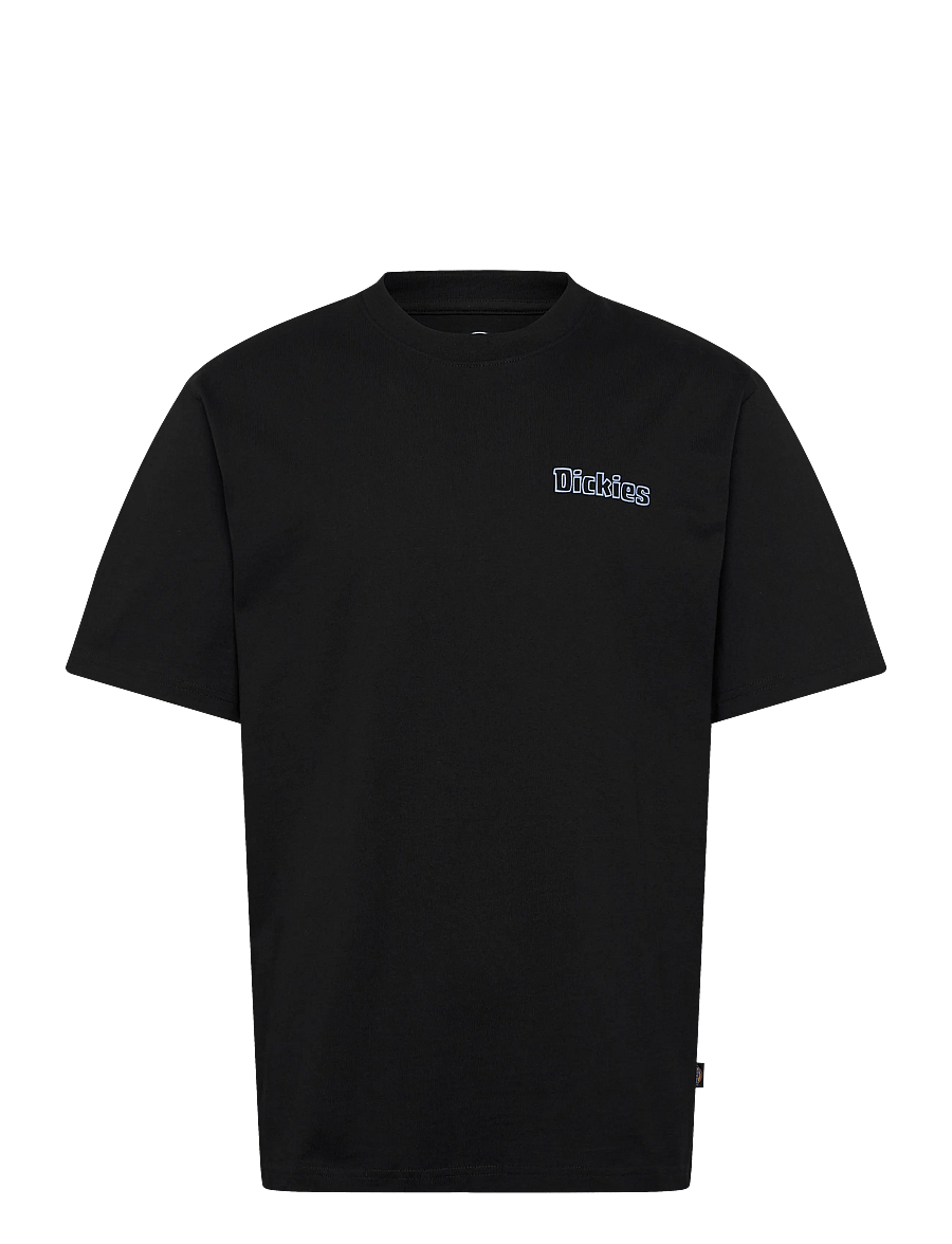 Dickies - FAIRLAWN SS TEE - kurzärmelig - black - 1