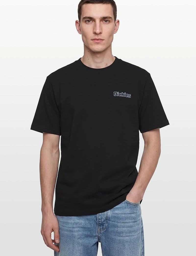 Dickies - FAIRLAWN SS TEE - kortærmede t-shirts - black - 3