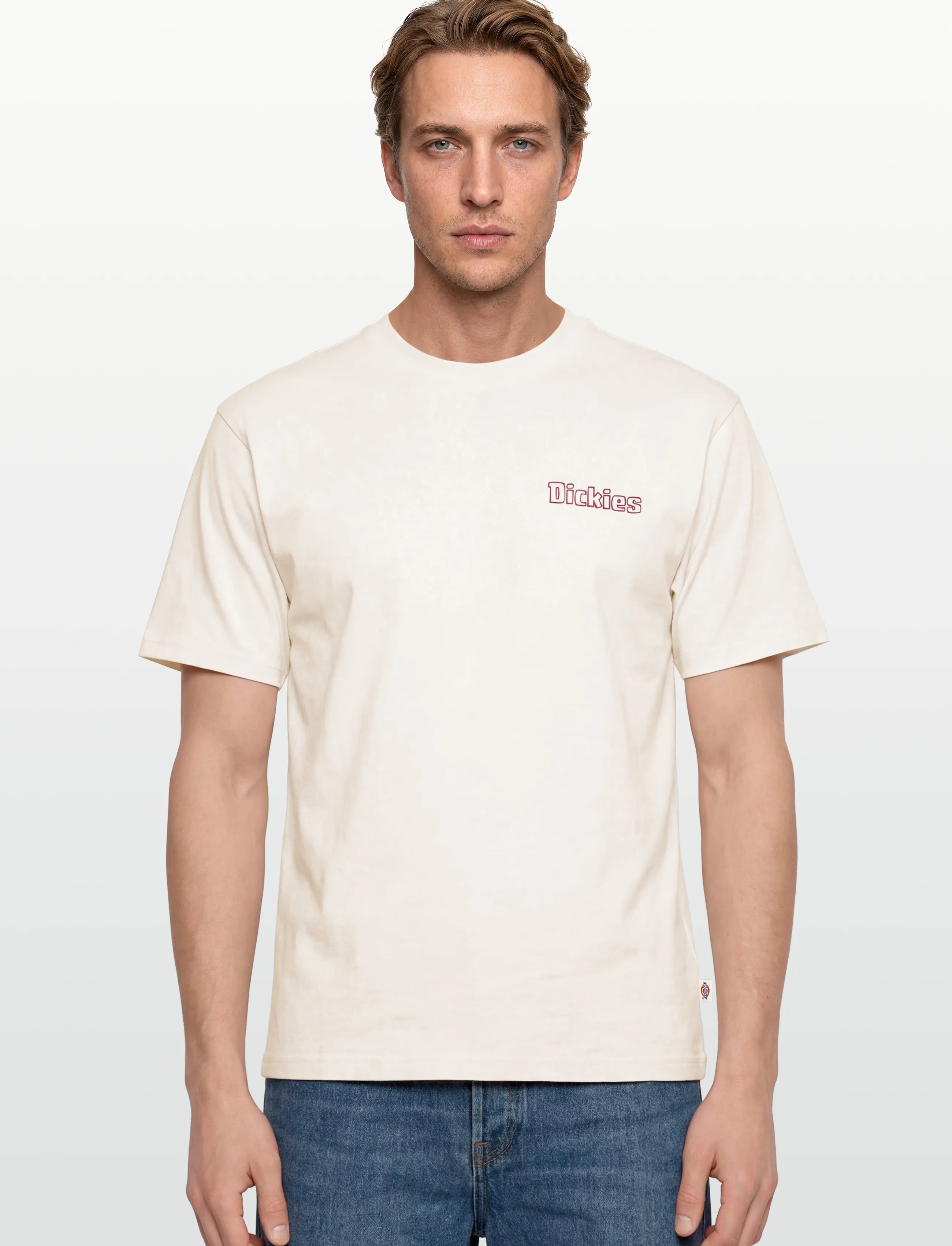 Dickies - FAIRLAWN SS TEE - kurzärmelig - egret - 3