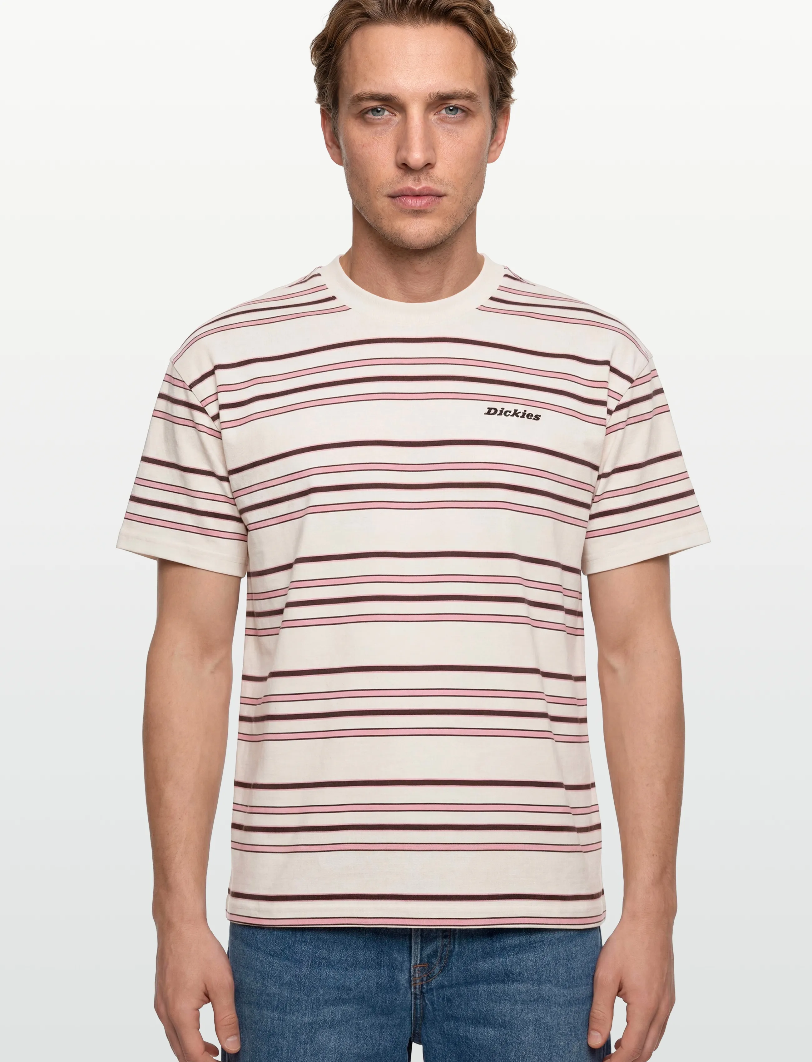 Dickies - EAST LIBERTY STRIPE SS TEE - lühikeste varrukatega t-särgid - egret - 3