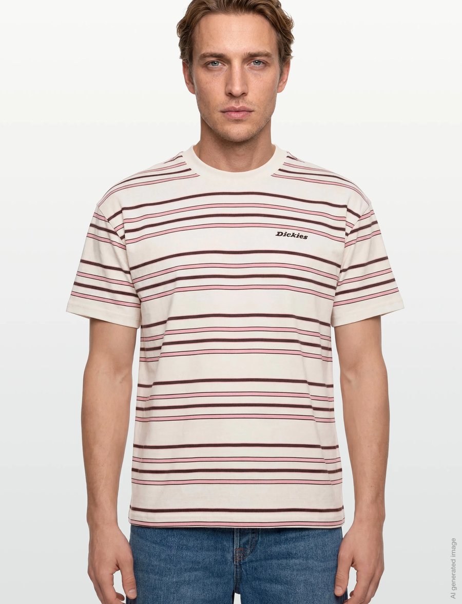 Dickies - EAST LIBERTY STRIPE SS TEE - kurzärmelige t-shirts - egret - 3