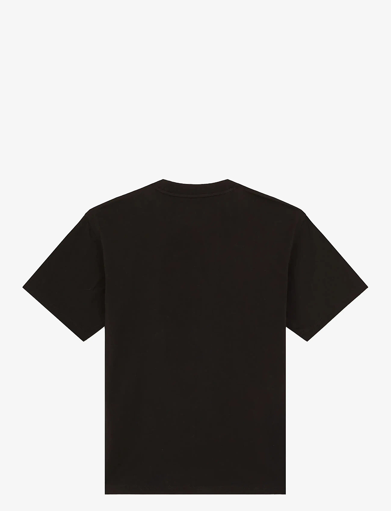 Dickies - AITKIN SS TEE - kurzärmelig - black - 1