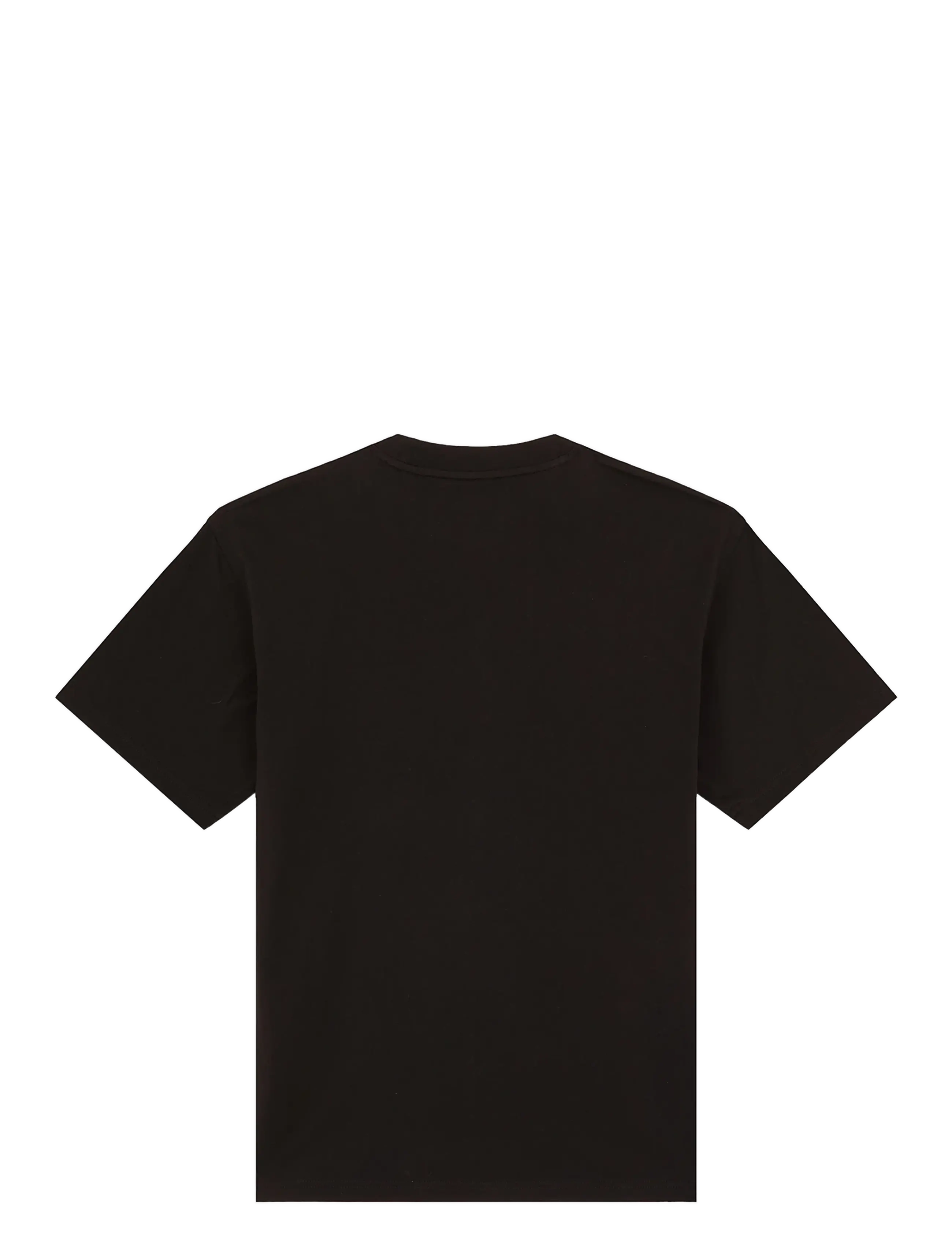 Dickies - AITKIN SS TEE - kortærmede t-shirts - black - 2