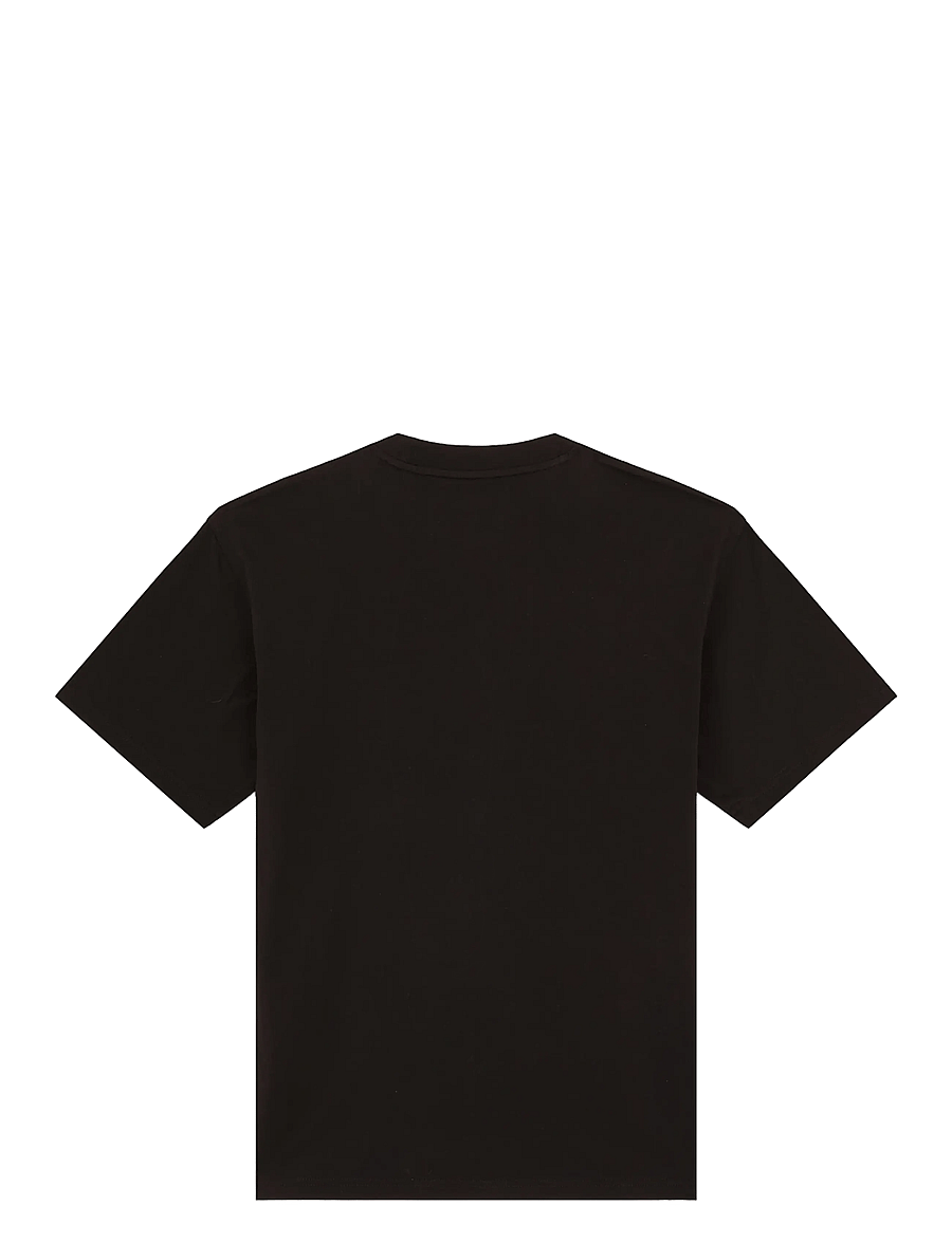 Dickies - AITKIN SS TEE - kurzärmelig - black - 2