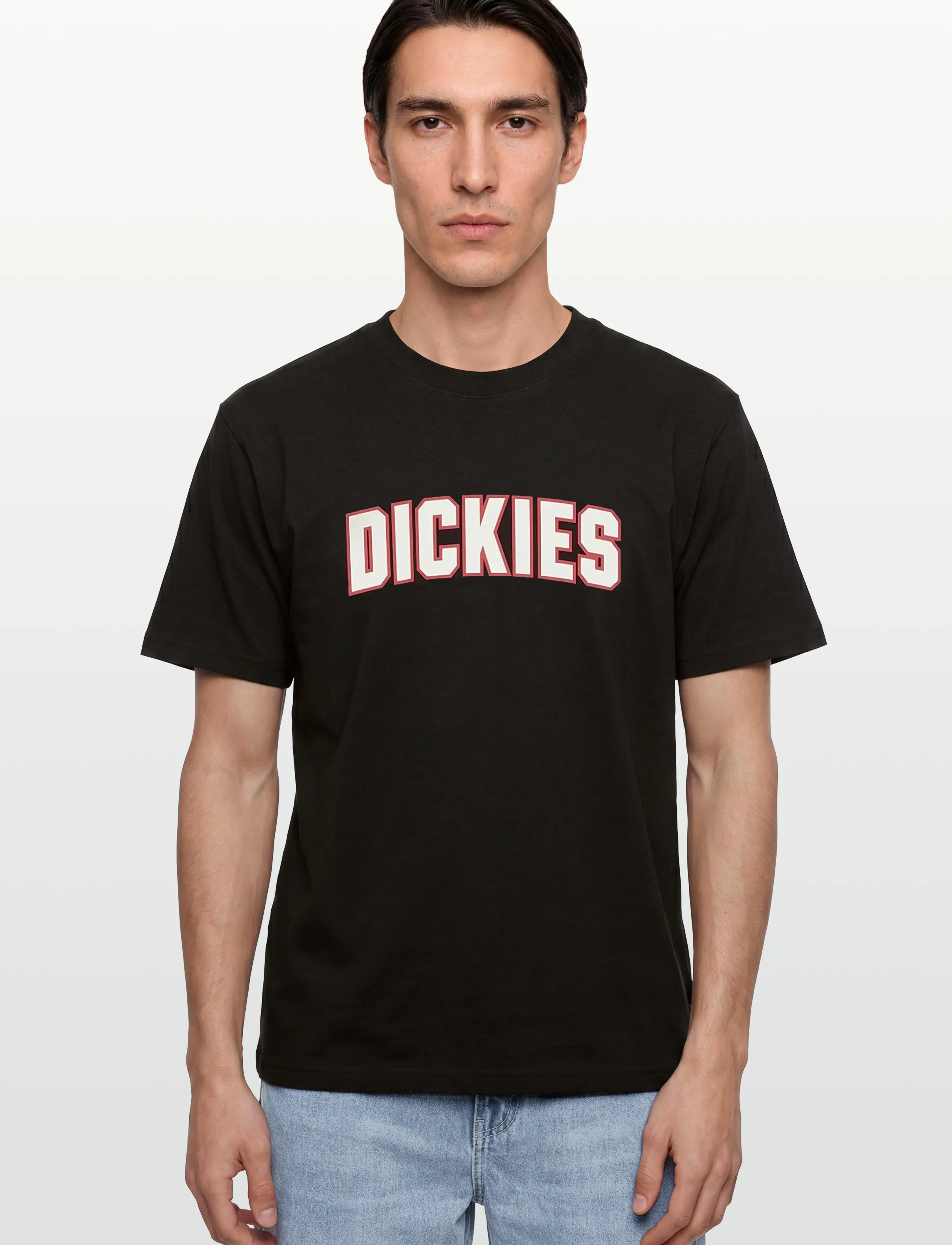 Dickies - AITKIN SS TEE - kortærmede t-shirts - black - 3