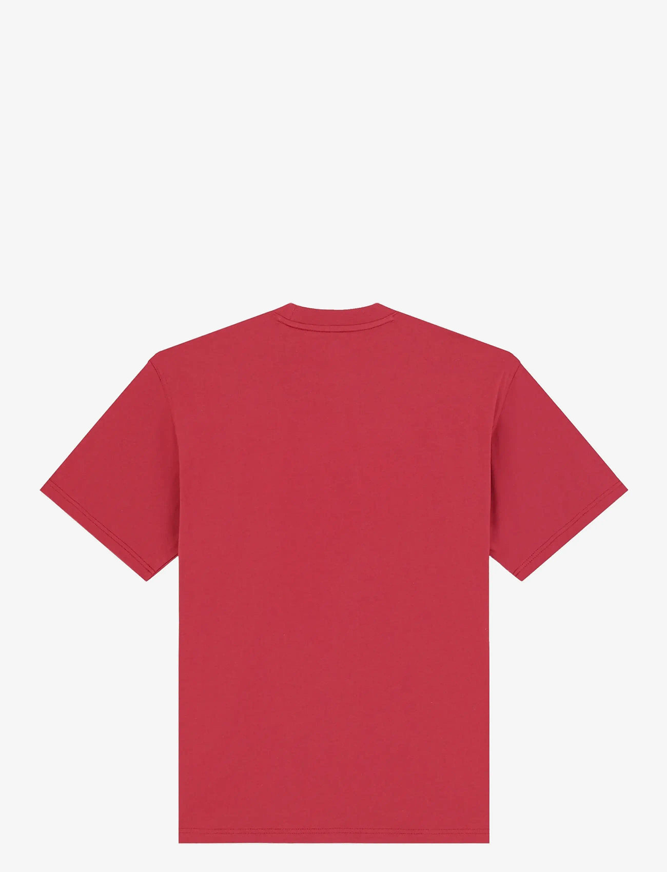 Dickies - AITKIN SS TEE - kurzärmelig - garnet - 1