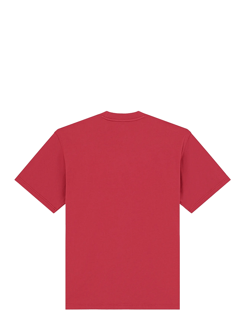 Dickies - AITKIN SS TEE - kurzärmelig - garnet - 1