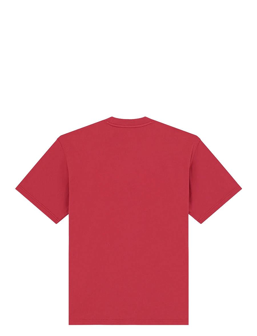 Dickies - AITKIN SS TEE - kurzärmelig - garnet - 2