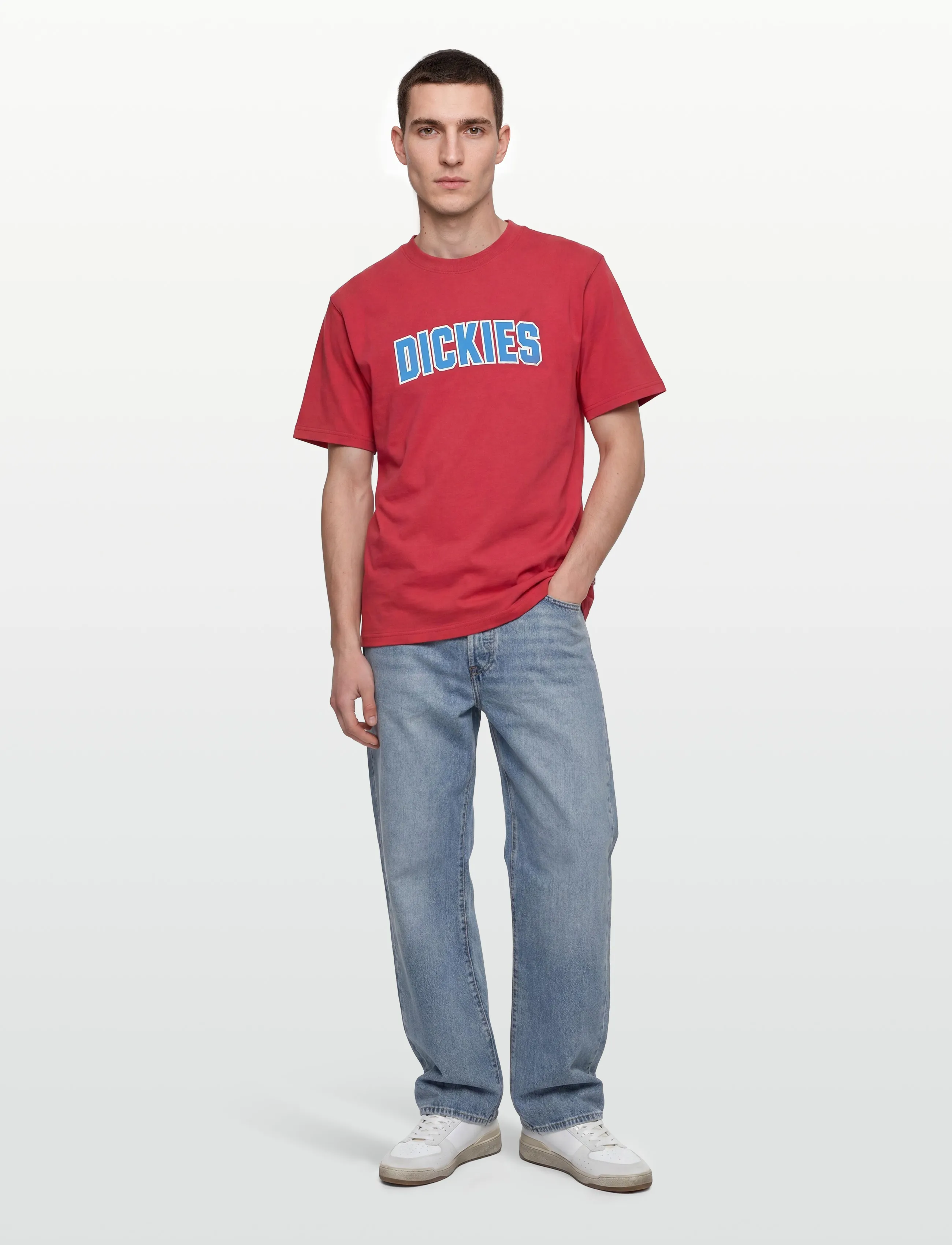 Dickies Aitkin Ss Tee, XXL, T-shirts, Rot - Short-sleeved, Männerswear