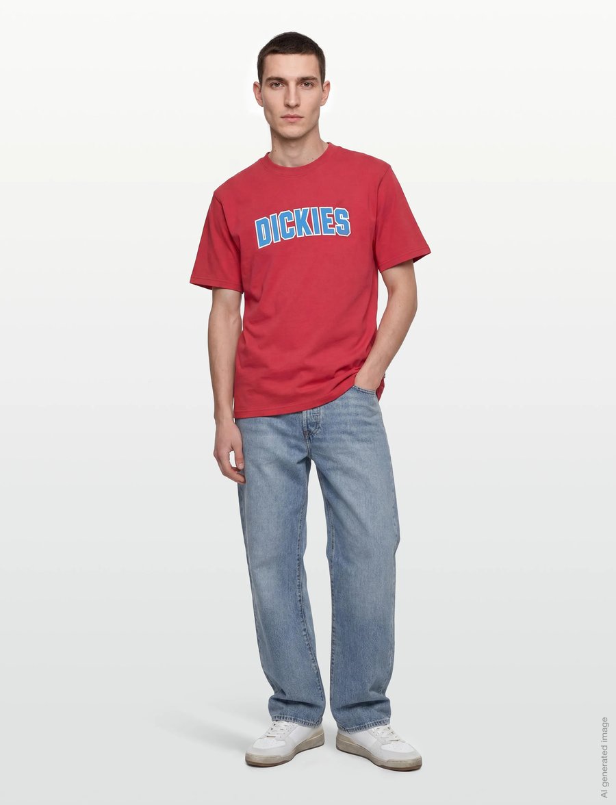 Dickies - AITKIN SS TEE - kurzärmelig - garnet - 0