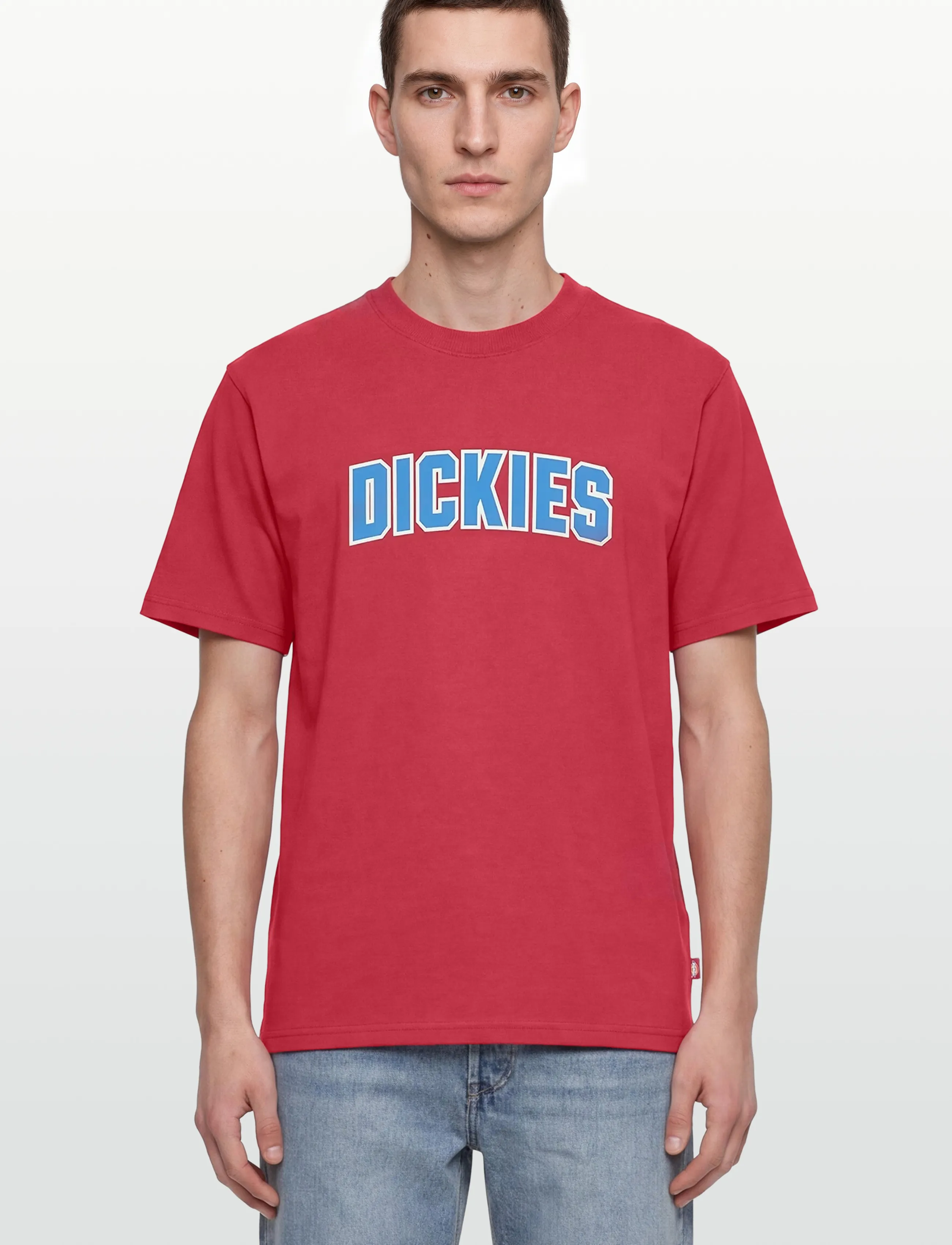 Dickies - AITKIN SS TEE - lühikeste varrukatega t-särgid - garnet - 3