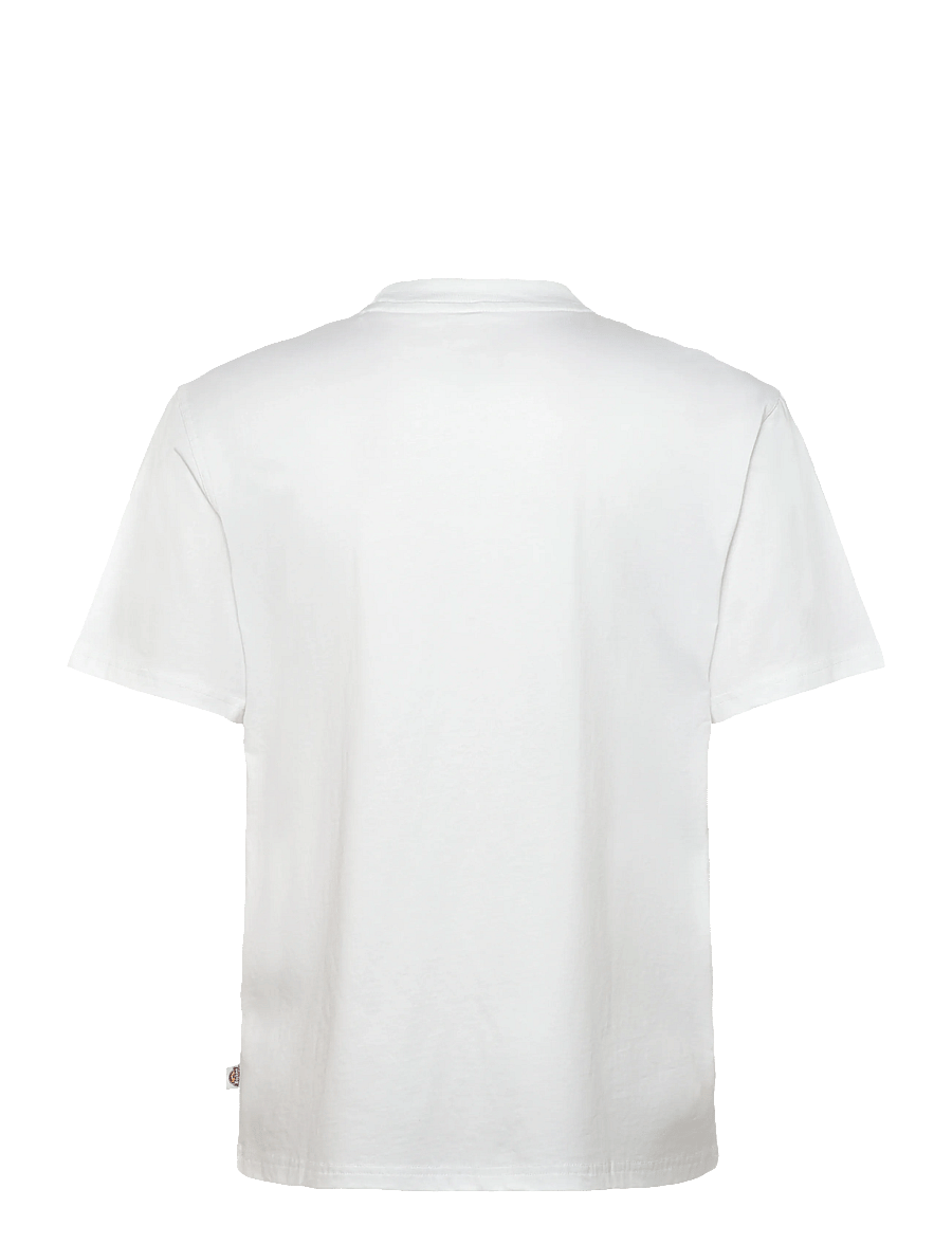 Dickies - AITKIN SS TEE - kurzärmelig - white - 2