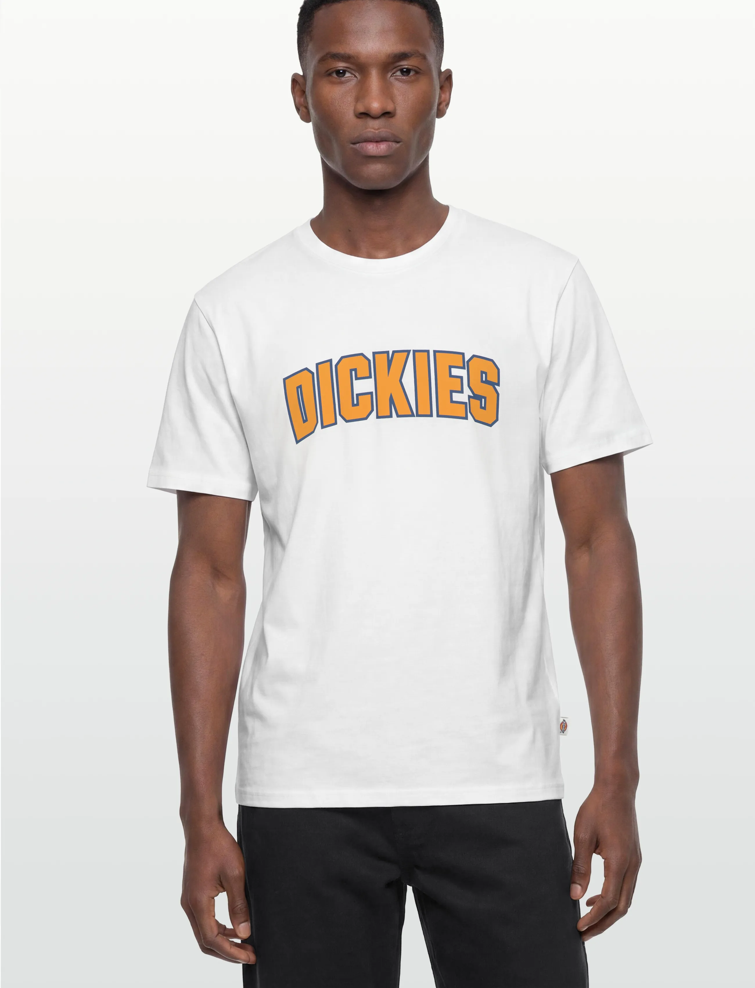 Dickies Aitkin Ss Tee t-shirts med tryck herr – bild 2