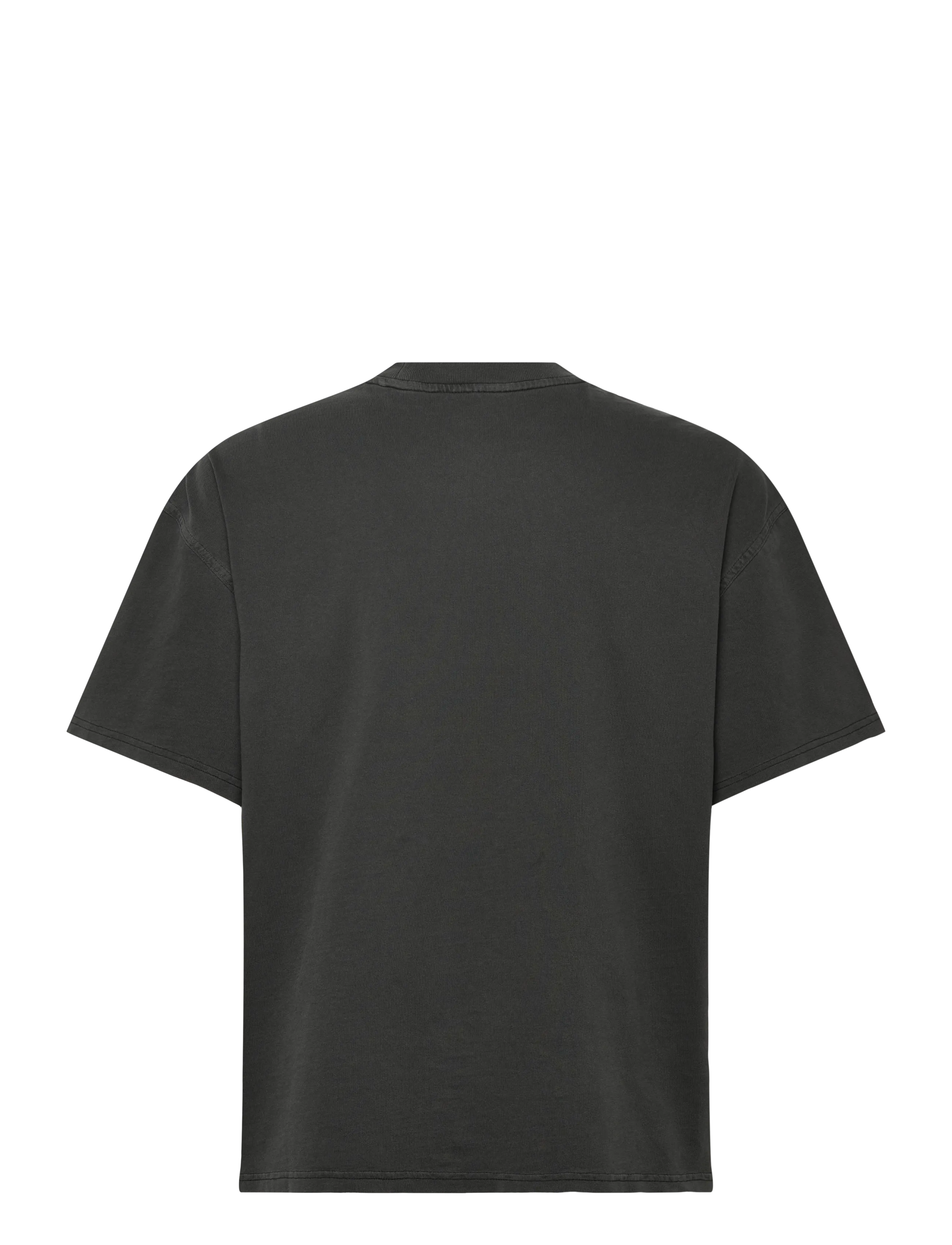 Dickies - PLAINVILLE SS TEE - kurzärmelig - black - 2